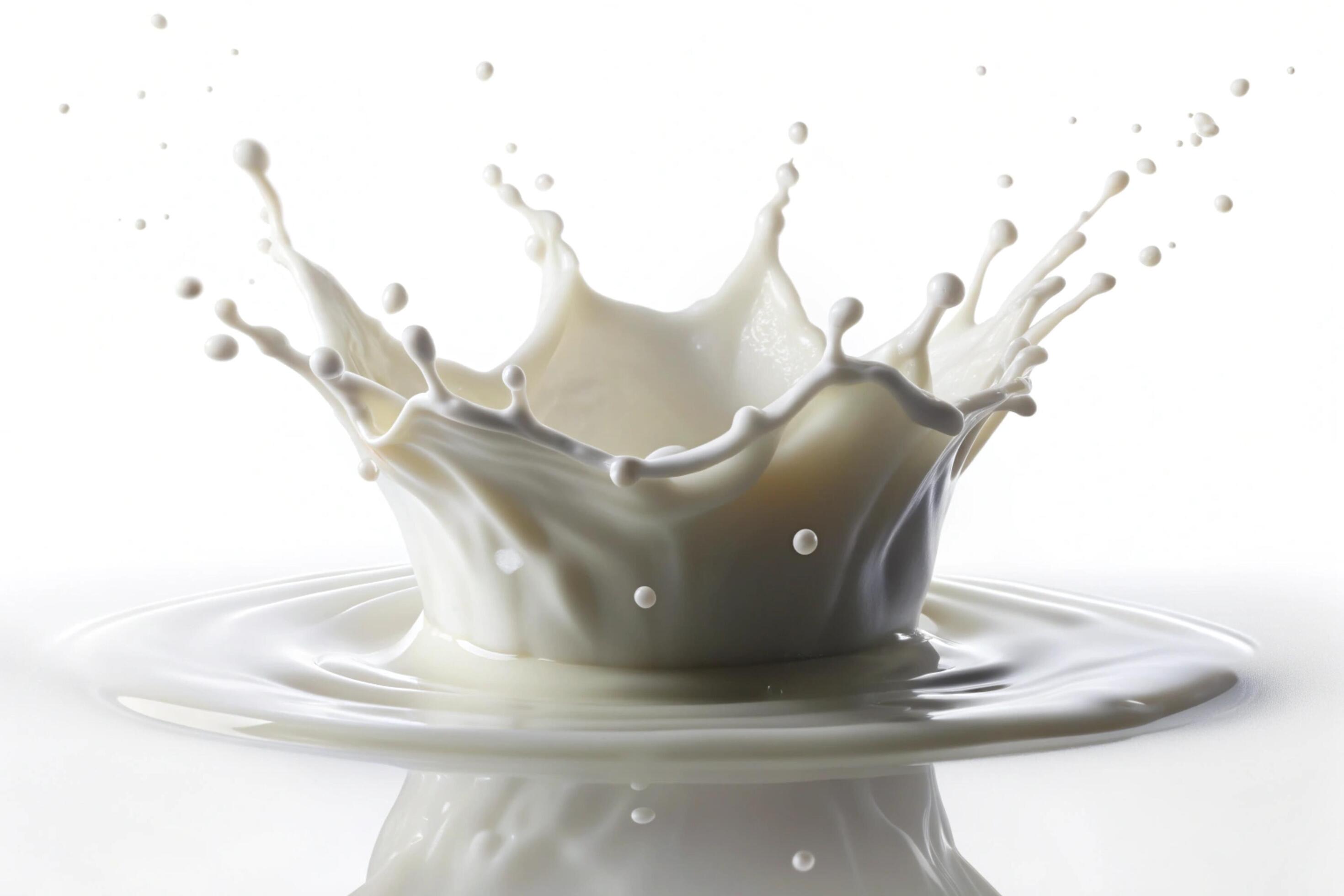 
									Milk splashes on white background Stock Free