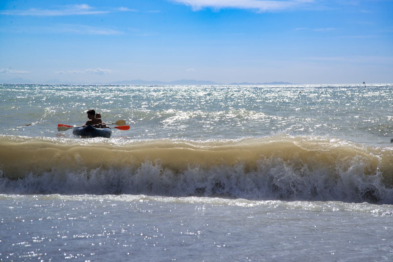 Rowing the shore Stock Free