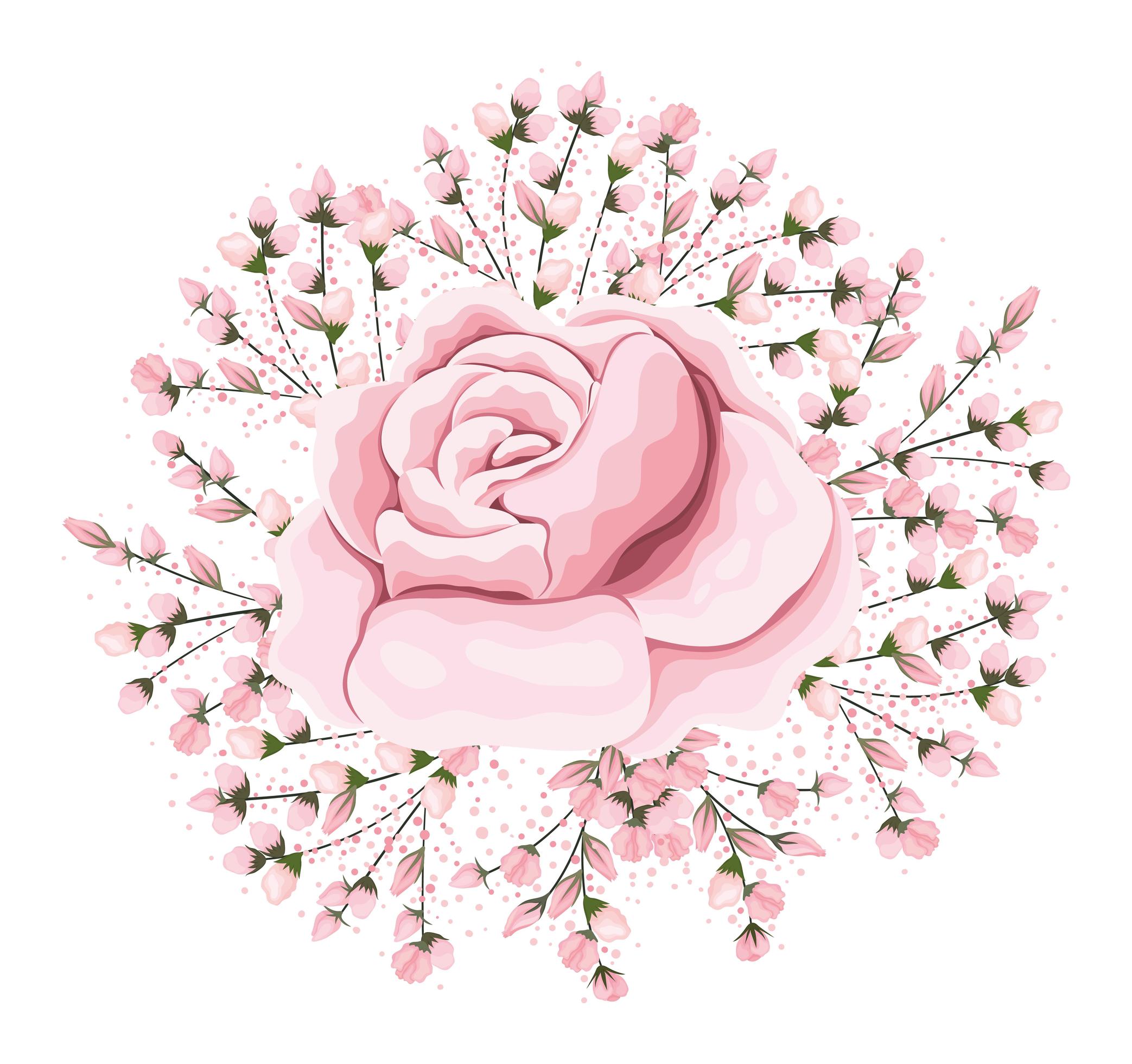 Buds around pink rose flower painting Stock Free