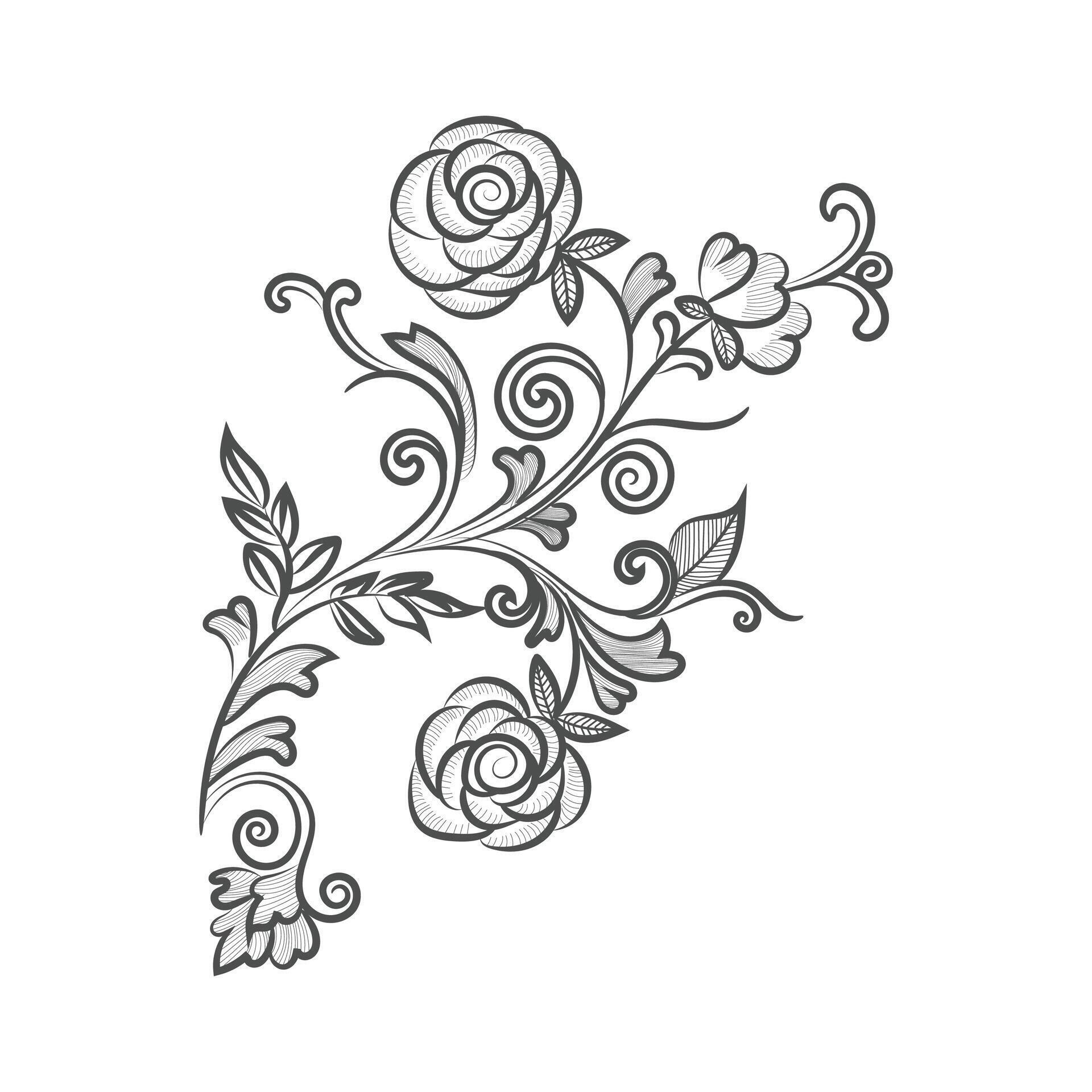 Stock Free graphical line art design of flower illustration for coloring page design Stock Free