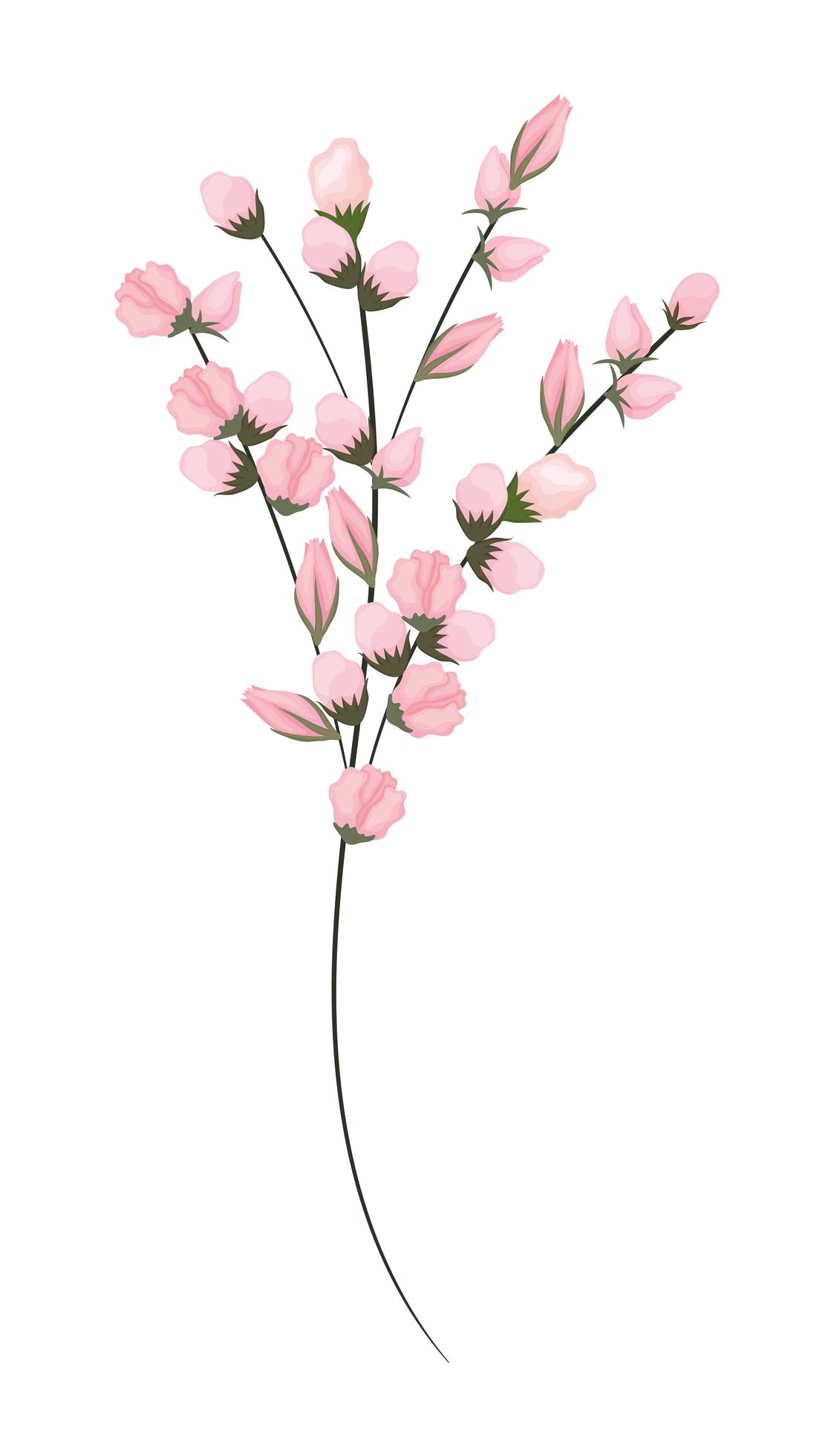 Pink buds flowers bouquet painting Stock Free