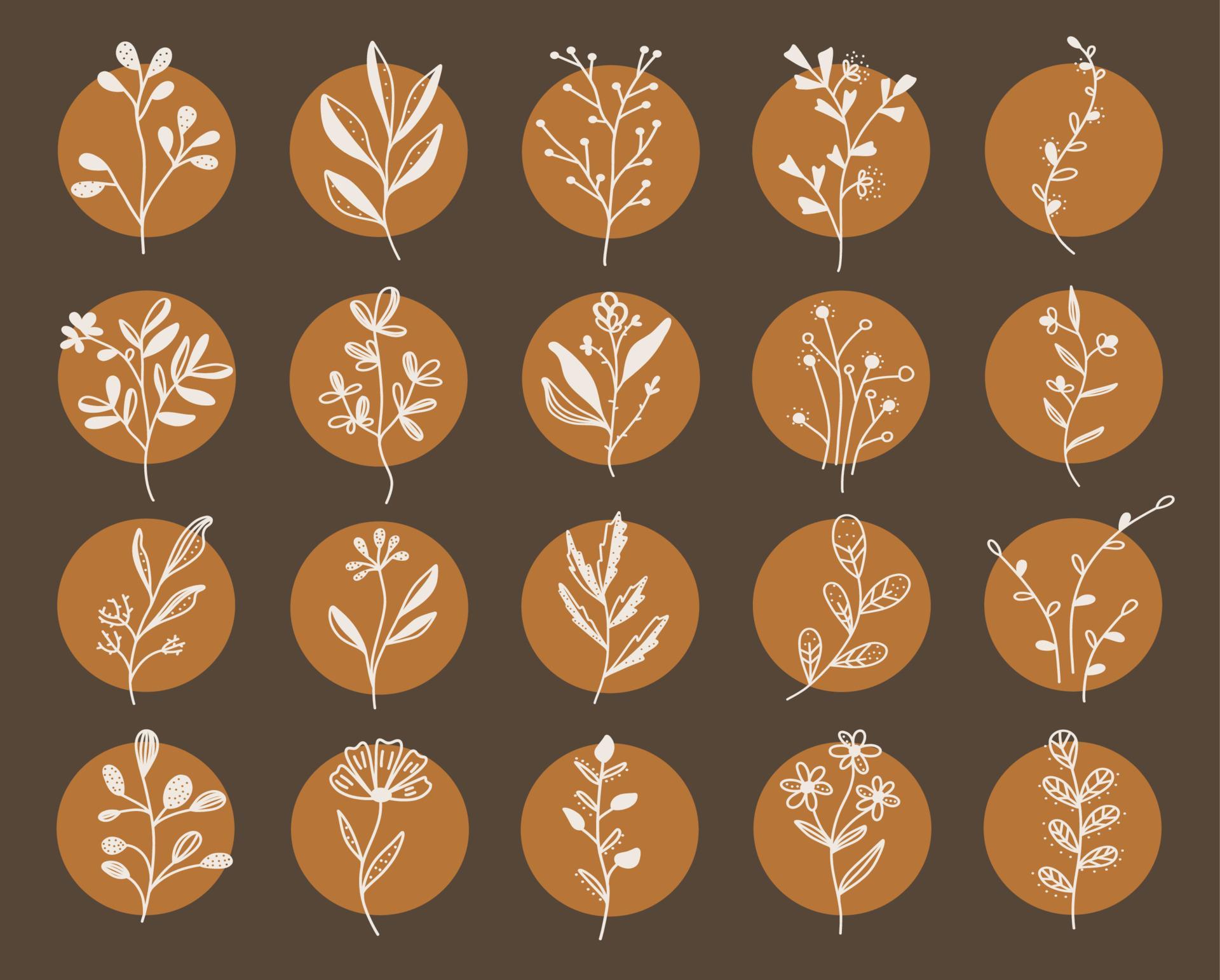 Vector collection flowers leaves plants set of white flowers icons on beige background suitable for social media design Stock Free