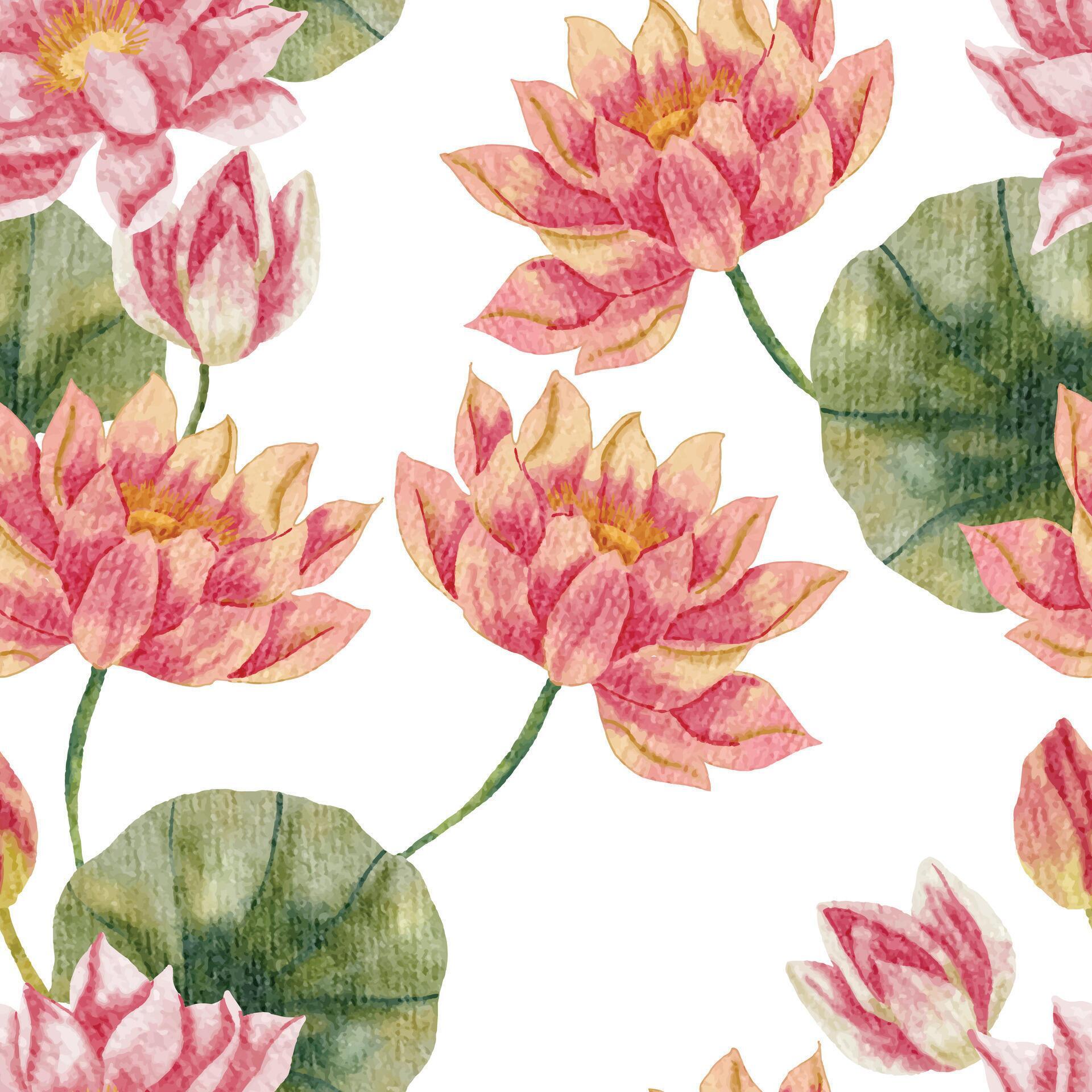 Pink Water Lily Watercolor Flower Seamless Pattern Stock Free