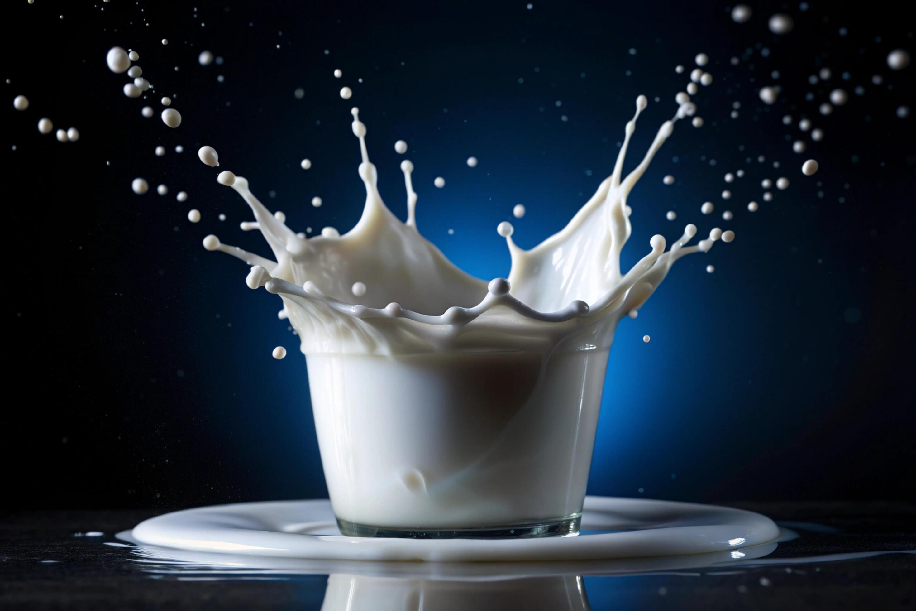 Milk splashes on white background Stock Free