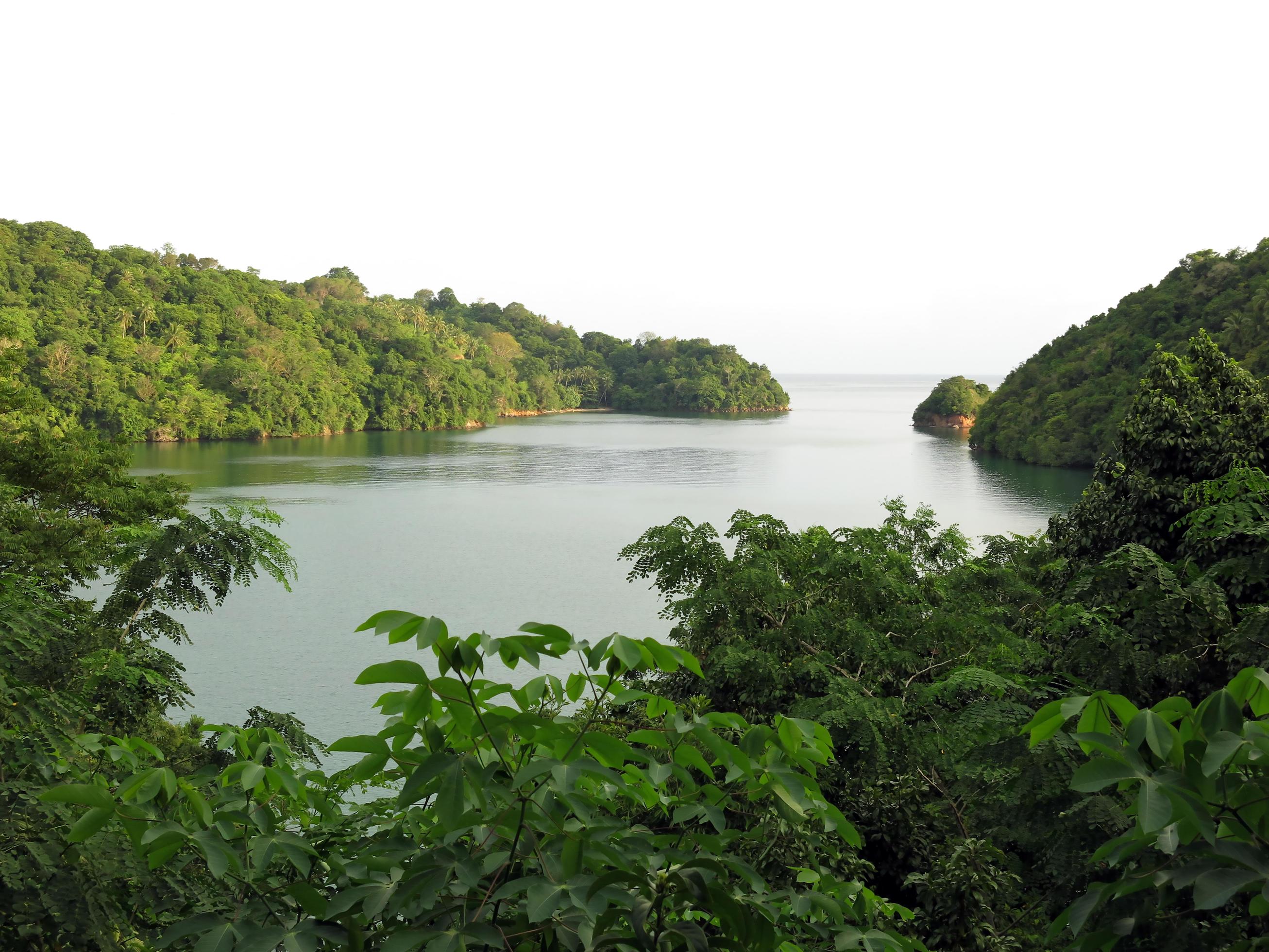 The nature of the Lembeh Strait. Stock Free