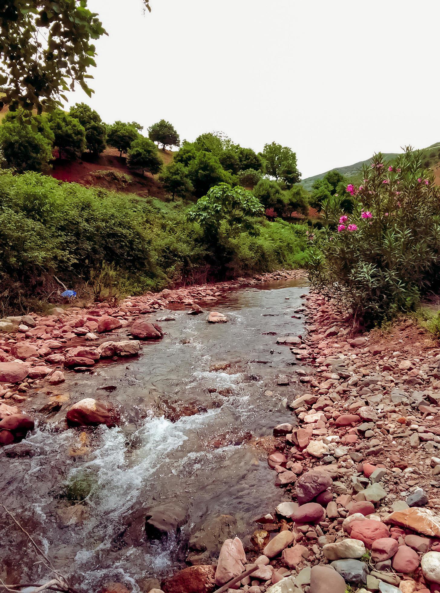 Discover the natural beauty of a serene valley stream with majestic rock formations Stock Free