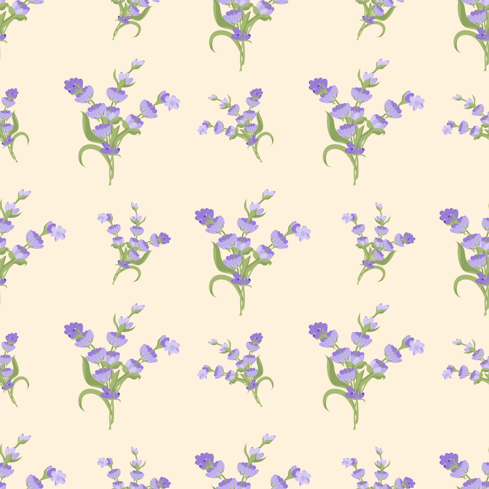 A sprig of lavender. Purple flower. Seamless pattern. illustration. Stock Free