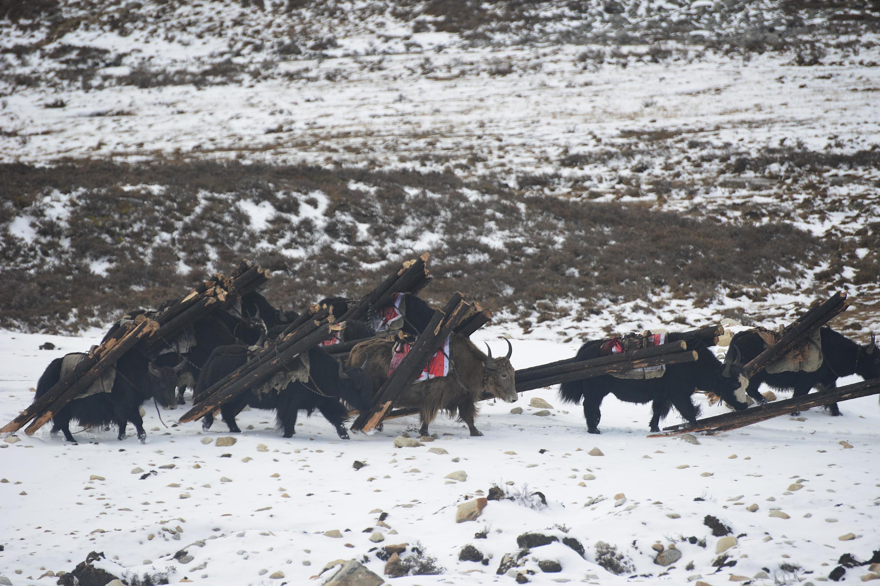 Spectacular scenery in the high mountains of western Sichuan, China, with different seasons Stock Free