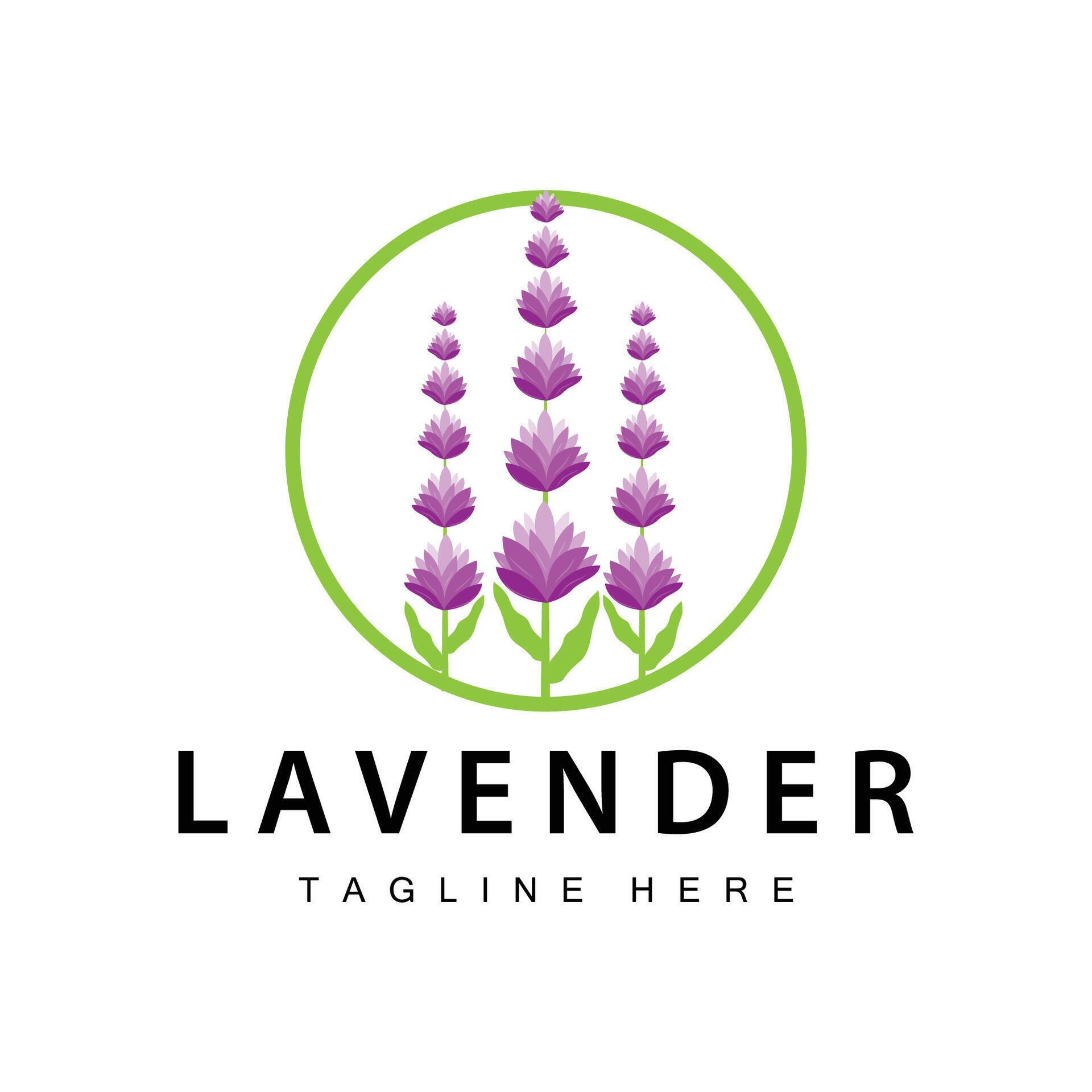 Lavender logo simple design vector cosmetic plant purple color and aromatherapy lavender flower garden template Stock Free