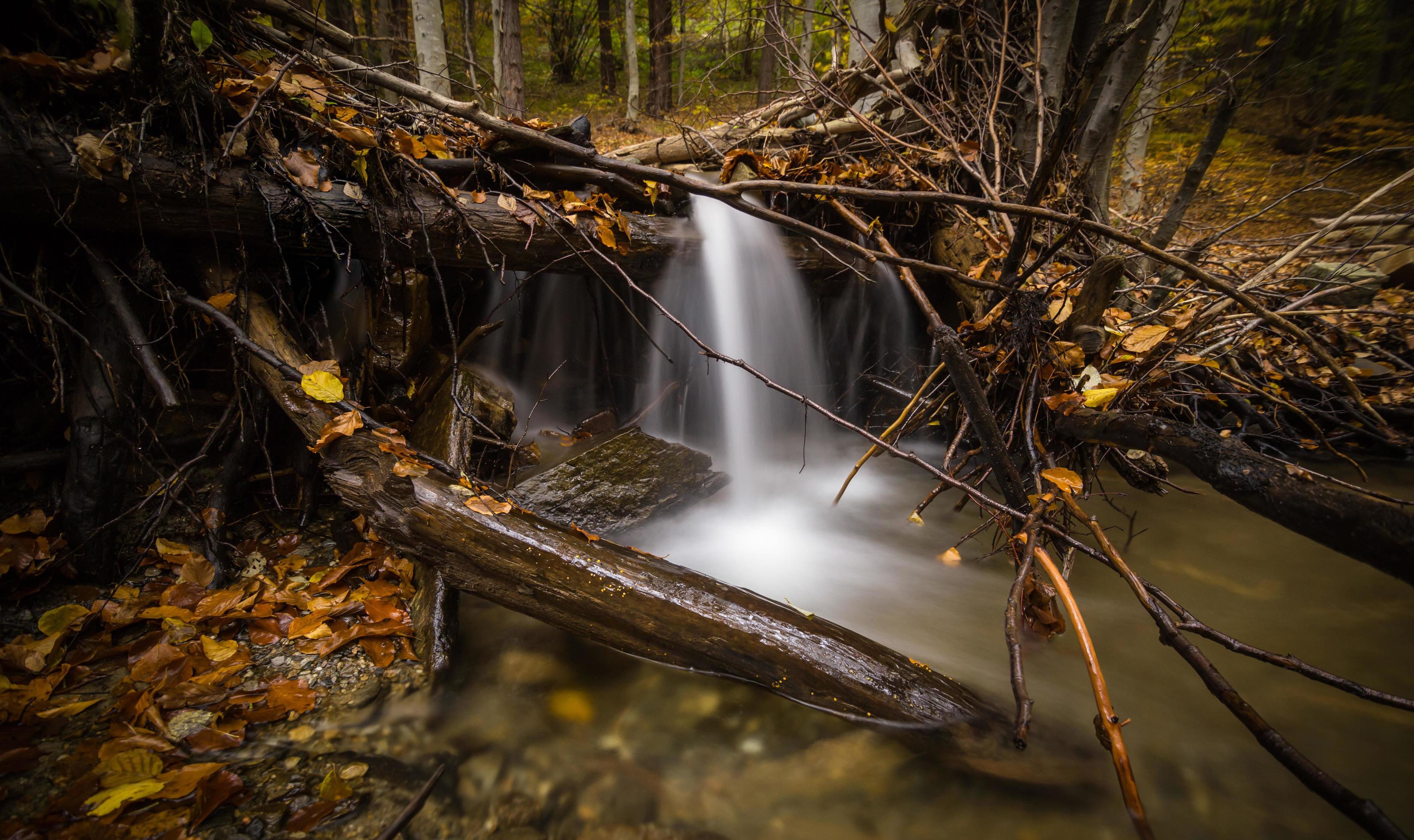 Time lapse photography of falls Stock Free