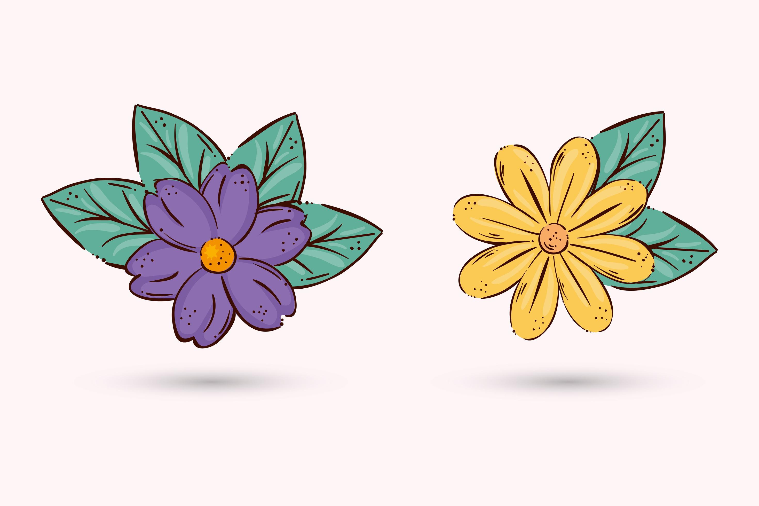 Isolated flowers with leaves vector design Stock Free