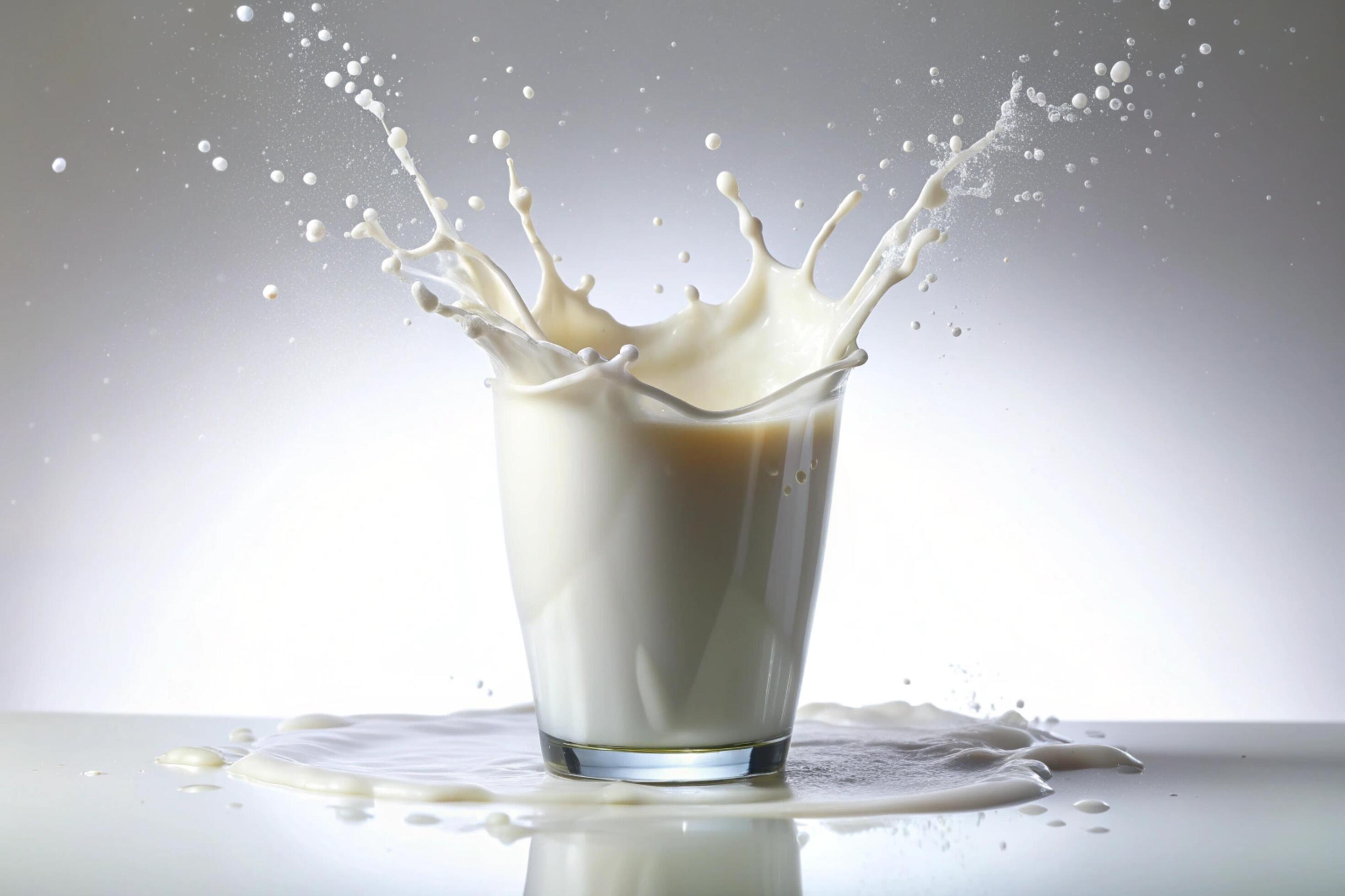 Milk splashes on white background Stock Free