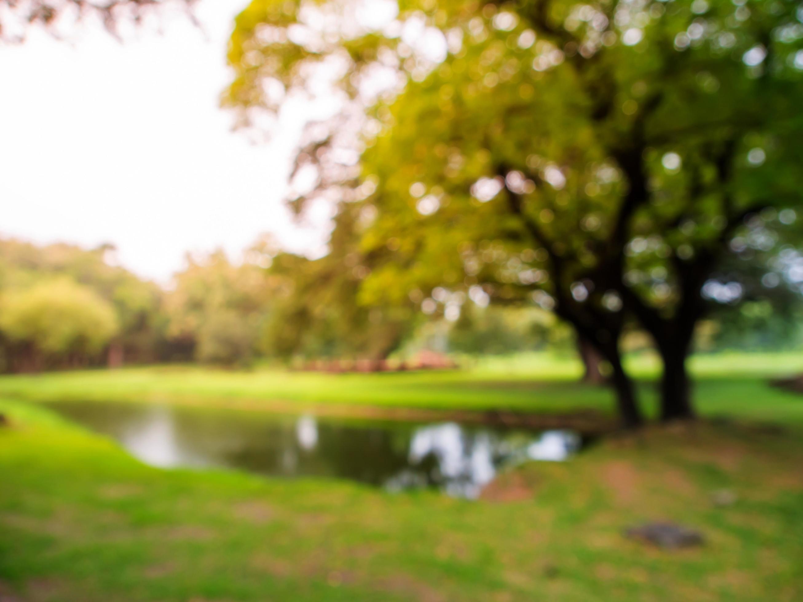 Blurred image natural green park background wallpaper Stock Free