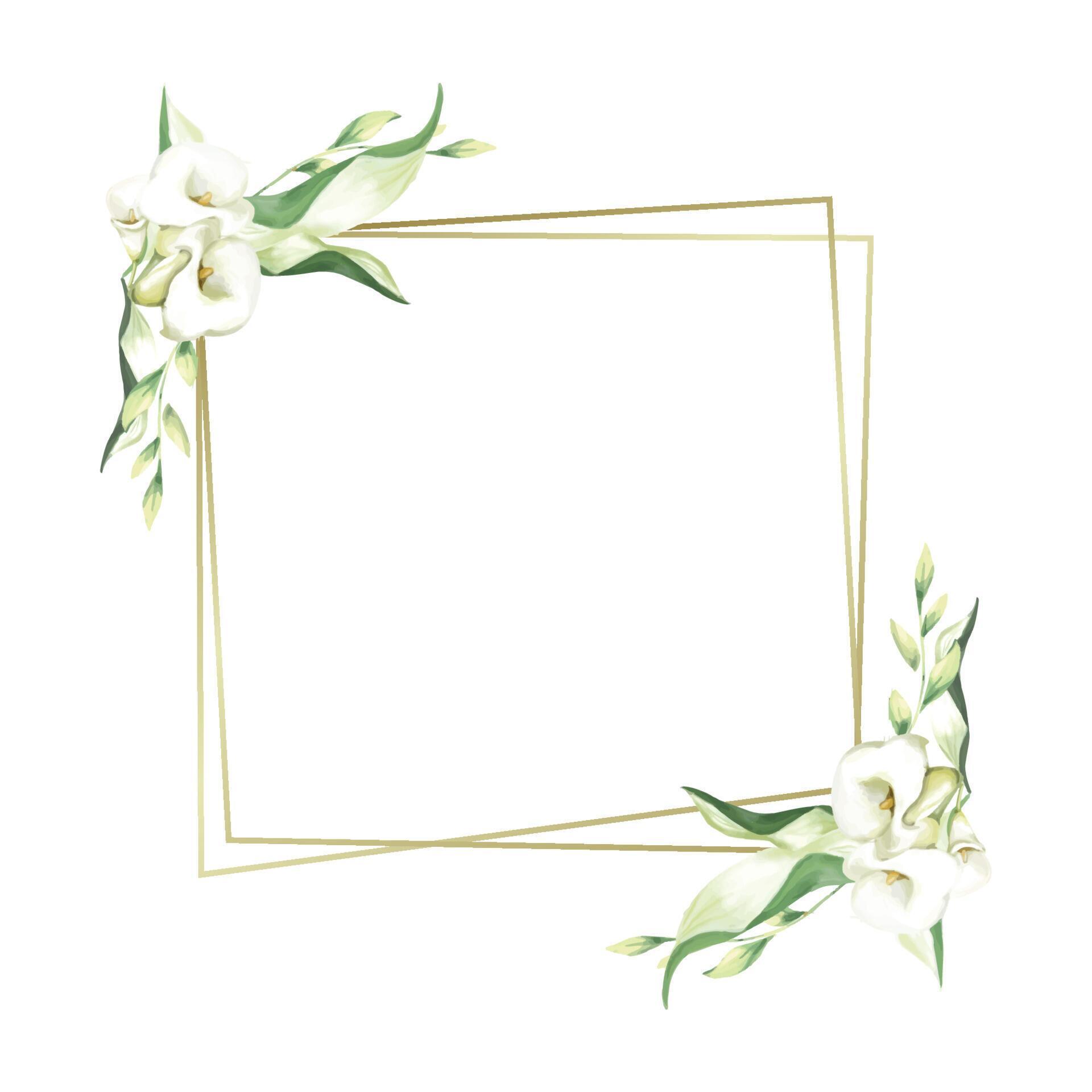 Frame With White Lily Flowers Stock Free