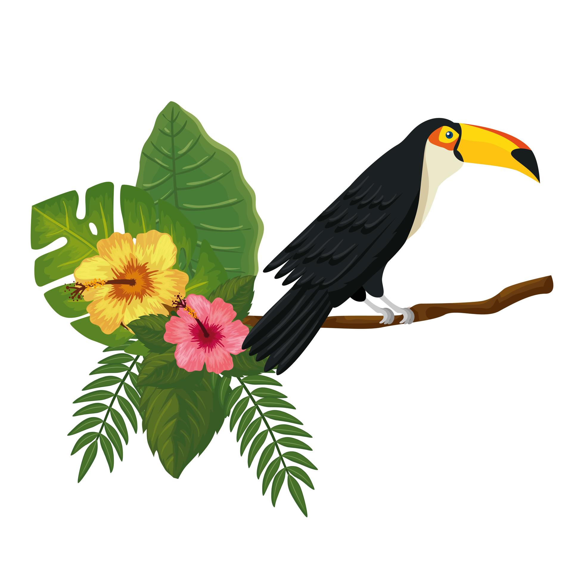 toucan on branch with leafs and flowers Stock Free