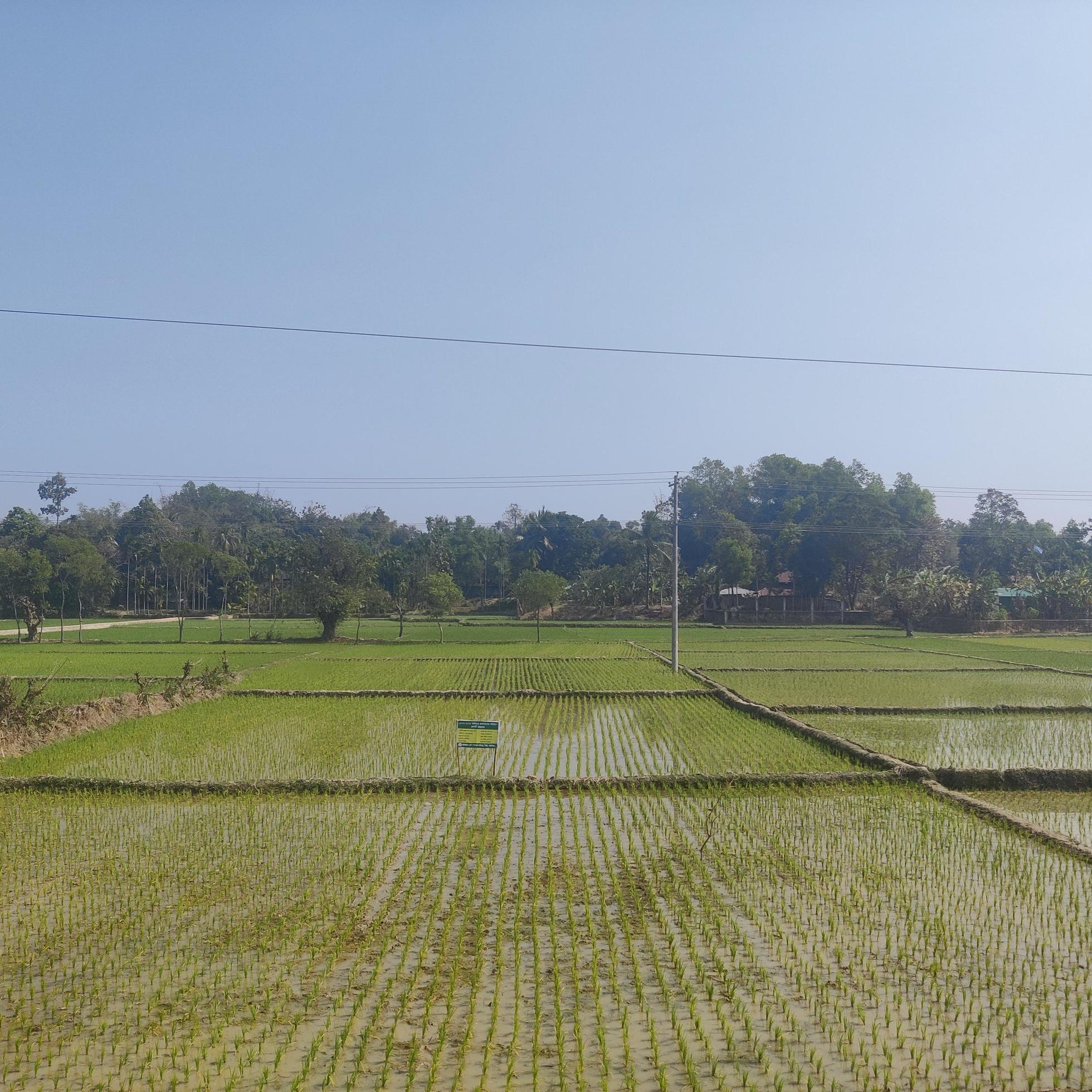 The natural beauty of Bangladesh cox bazar Stock Free