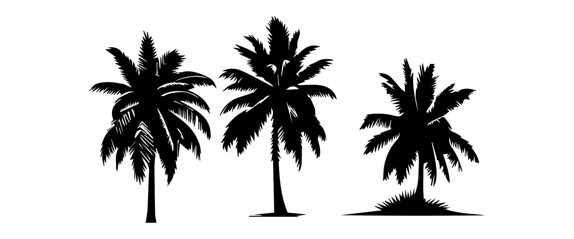 Black palm trees set isolated on white background. Palm silhouettes. Design of palm trees for posters, banners and promotional items. illustration Free Vector