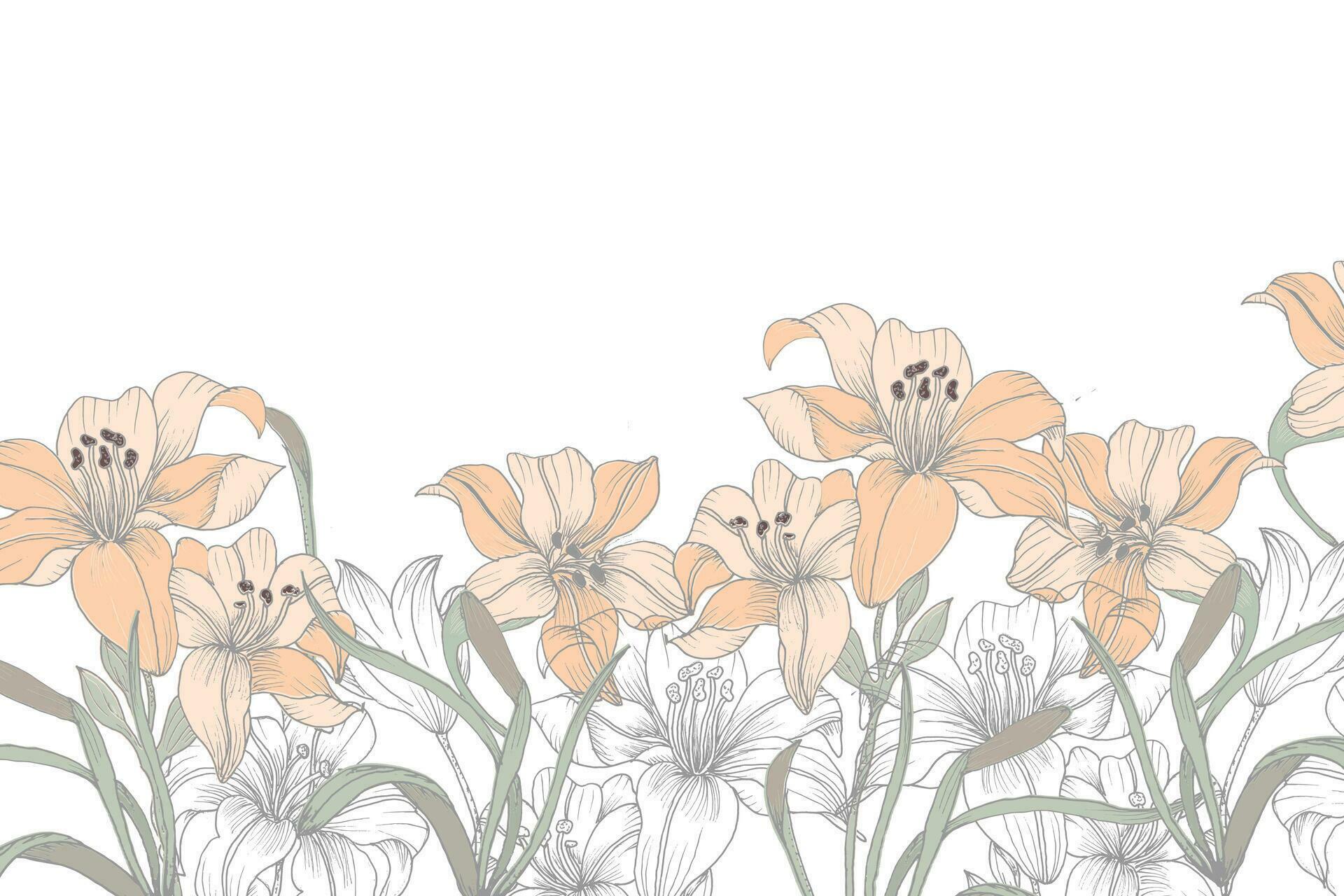 Hand Drawn Soft Lily Flower Background Stock Free and Free SVG