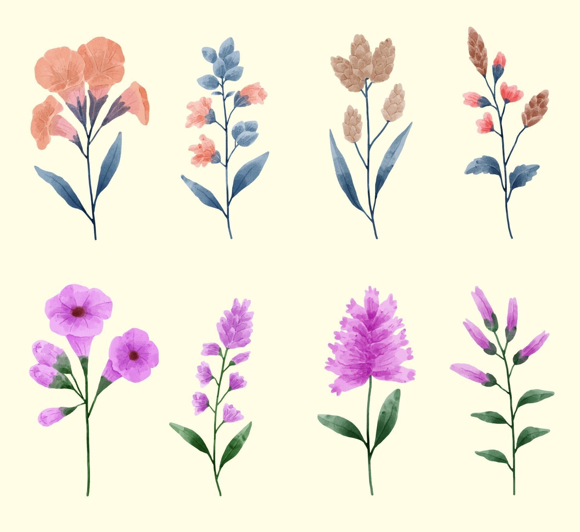 A set of flowers painted in watercolor for designer work create Stock Free