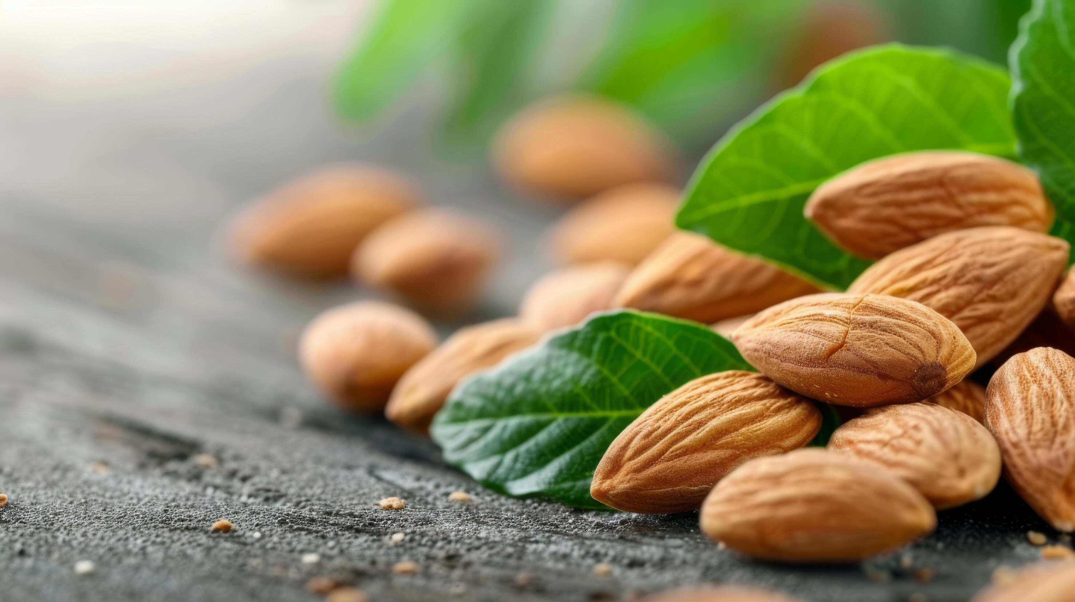 Fresh Almonds With Green Leaves on a Light Background Stock Free