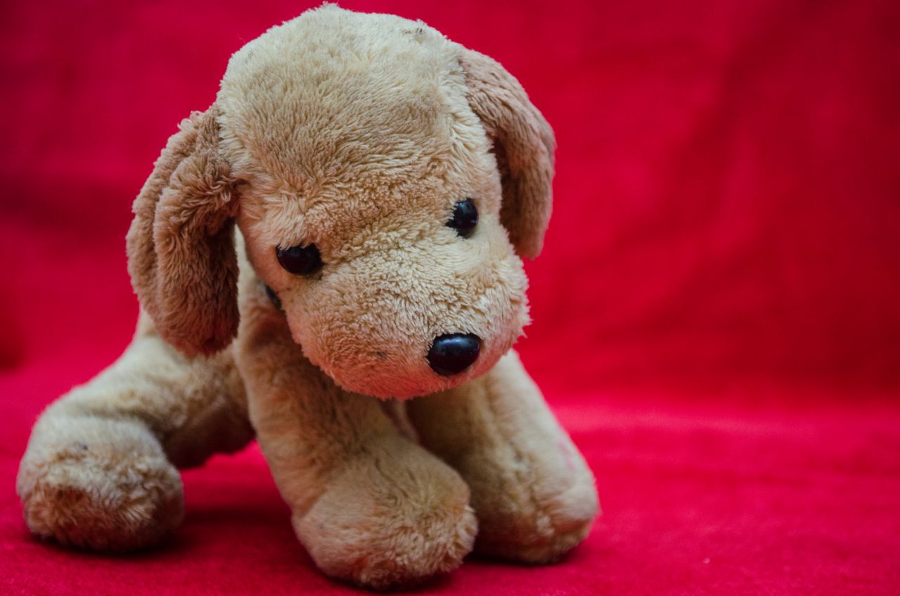 Soft Toys Dog Puppy Stock Free