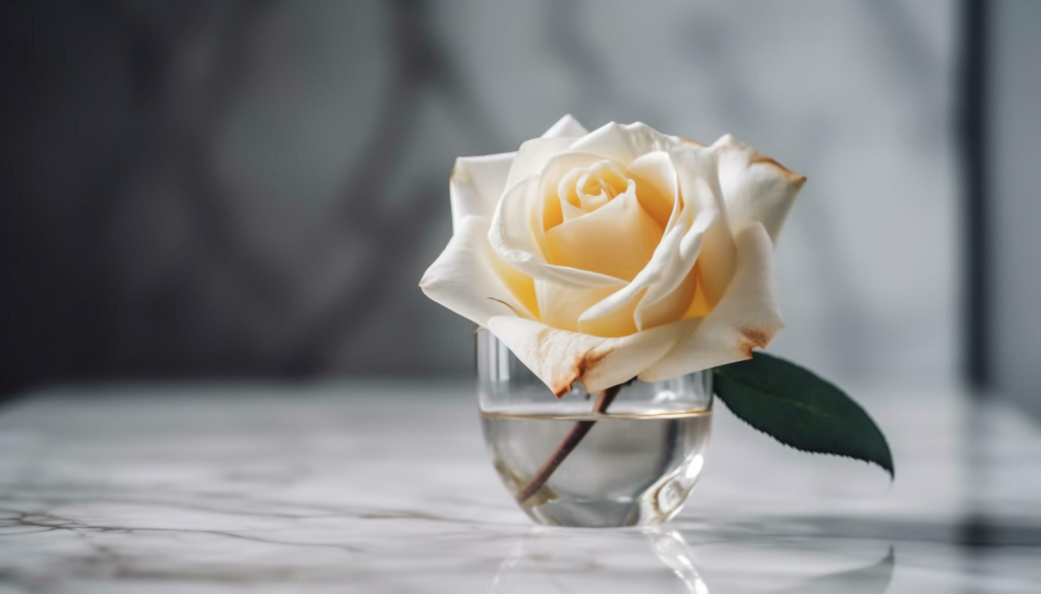 Fresh flower bouquet on table, symbolizing love generated by AI Stock Free