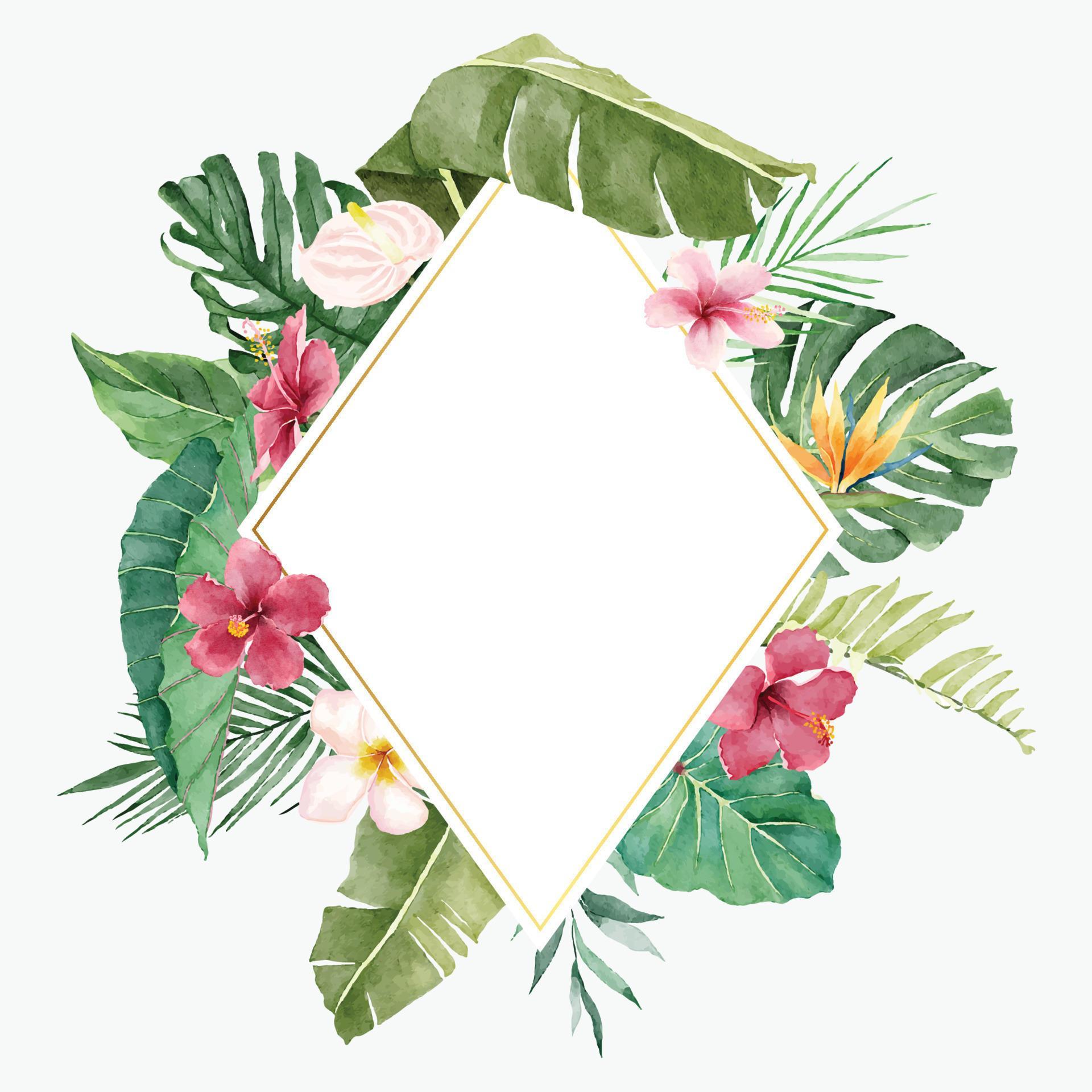 Bright Summer Illustration with Tropical Flowers and Leaves Stock Free and Free SVG