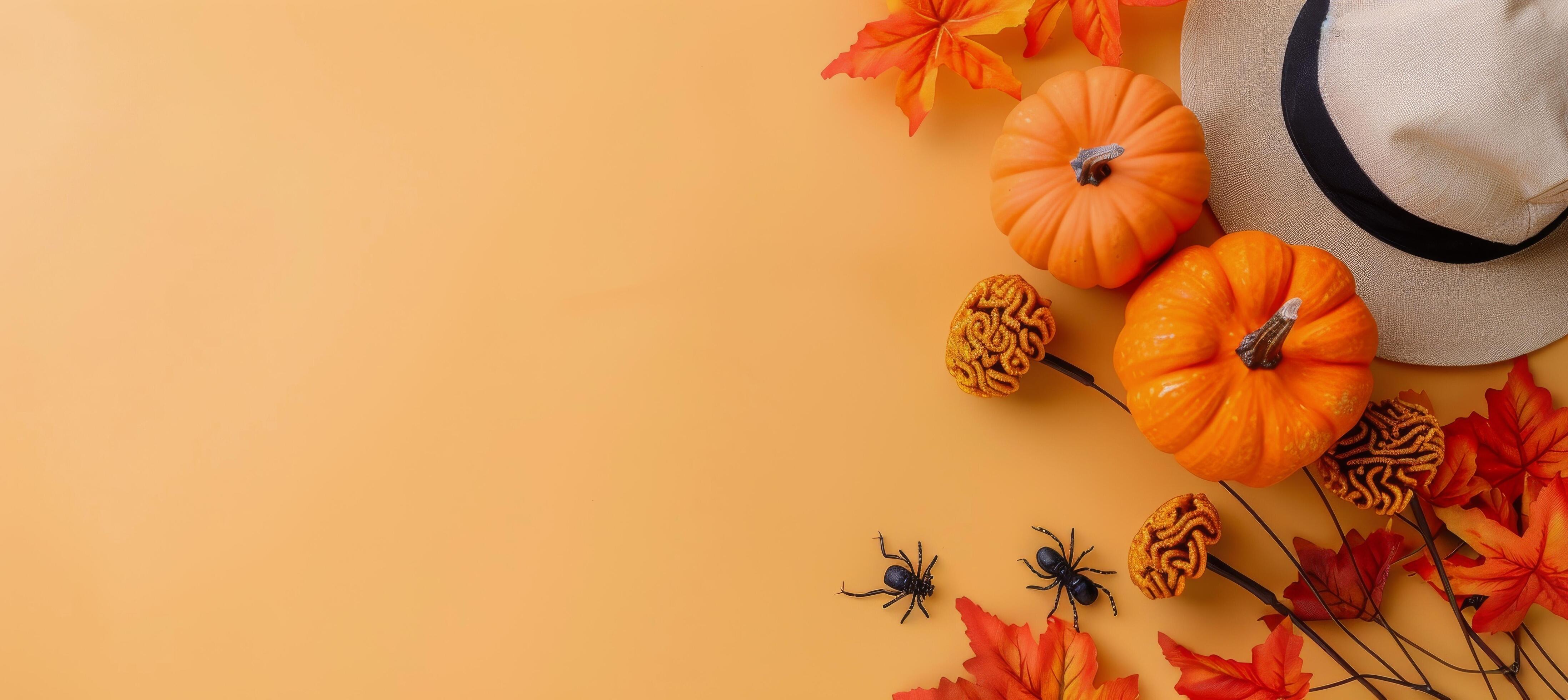 Halloween Decorations With Pumpkins and Spiders on Orange Background Stock Free