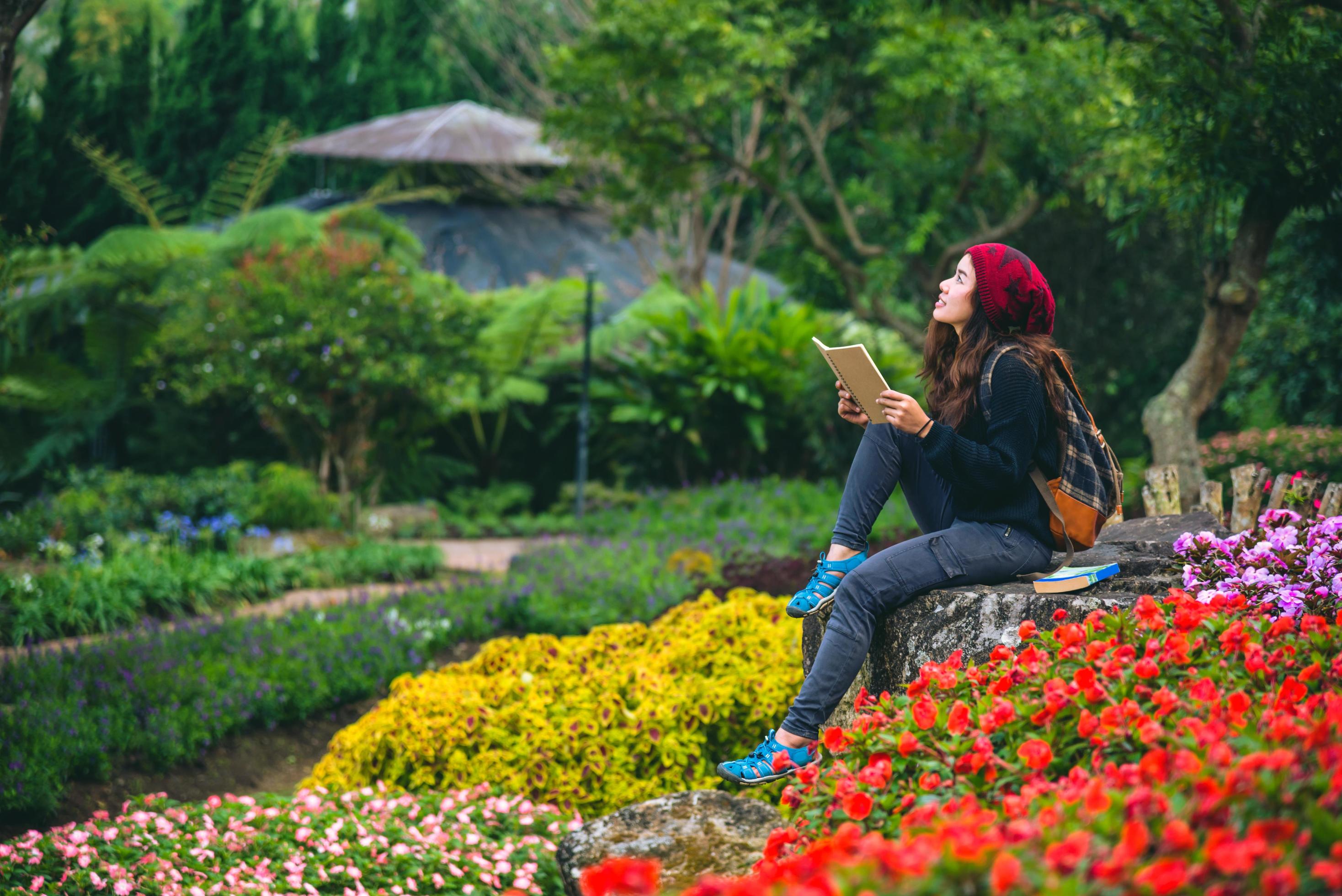 woman travel nature in the flower garden. relax sitting on rocks and reading books In the midst of nature at national park doi Inthanon. Stock Free