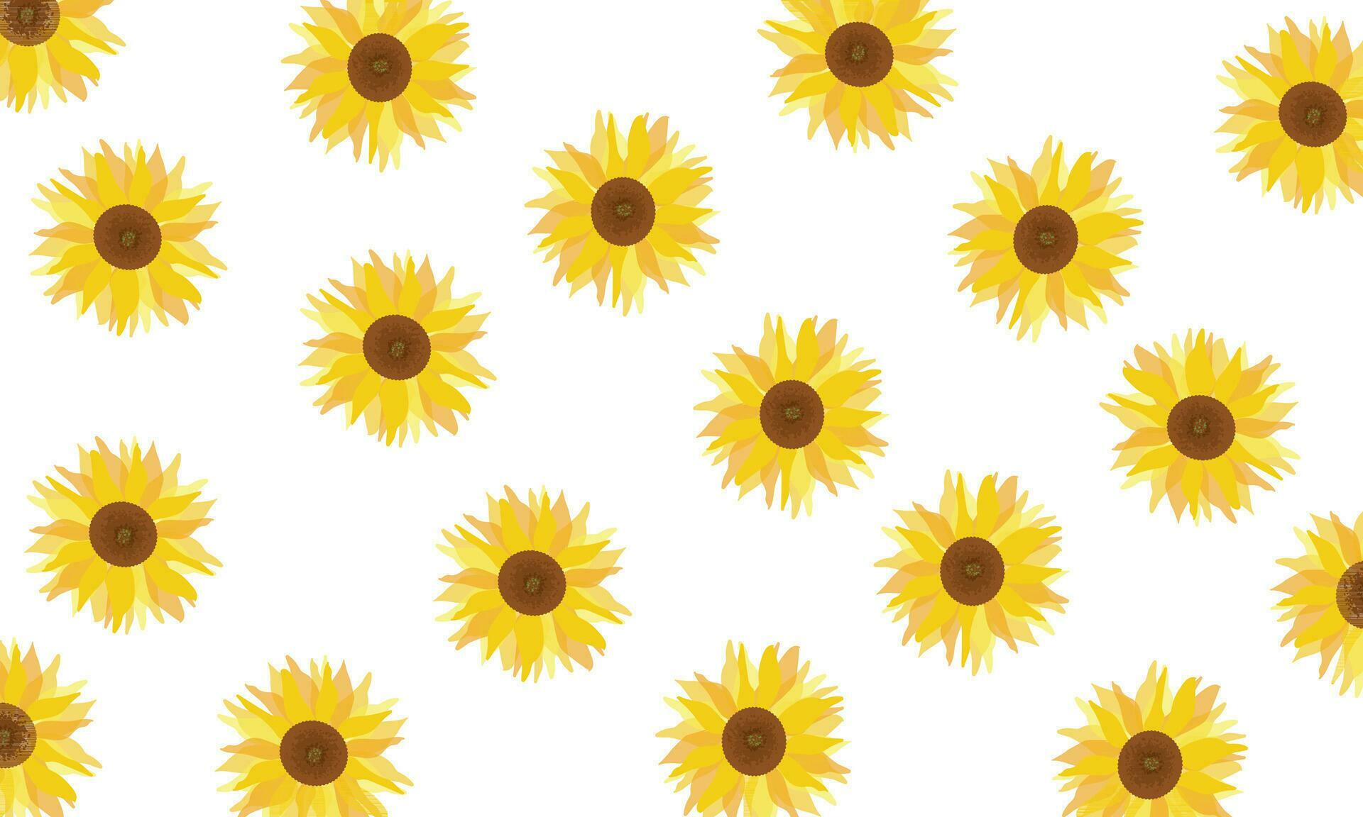 Sunflowers pattern in white background Stock Free