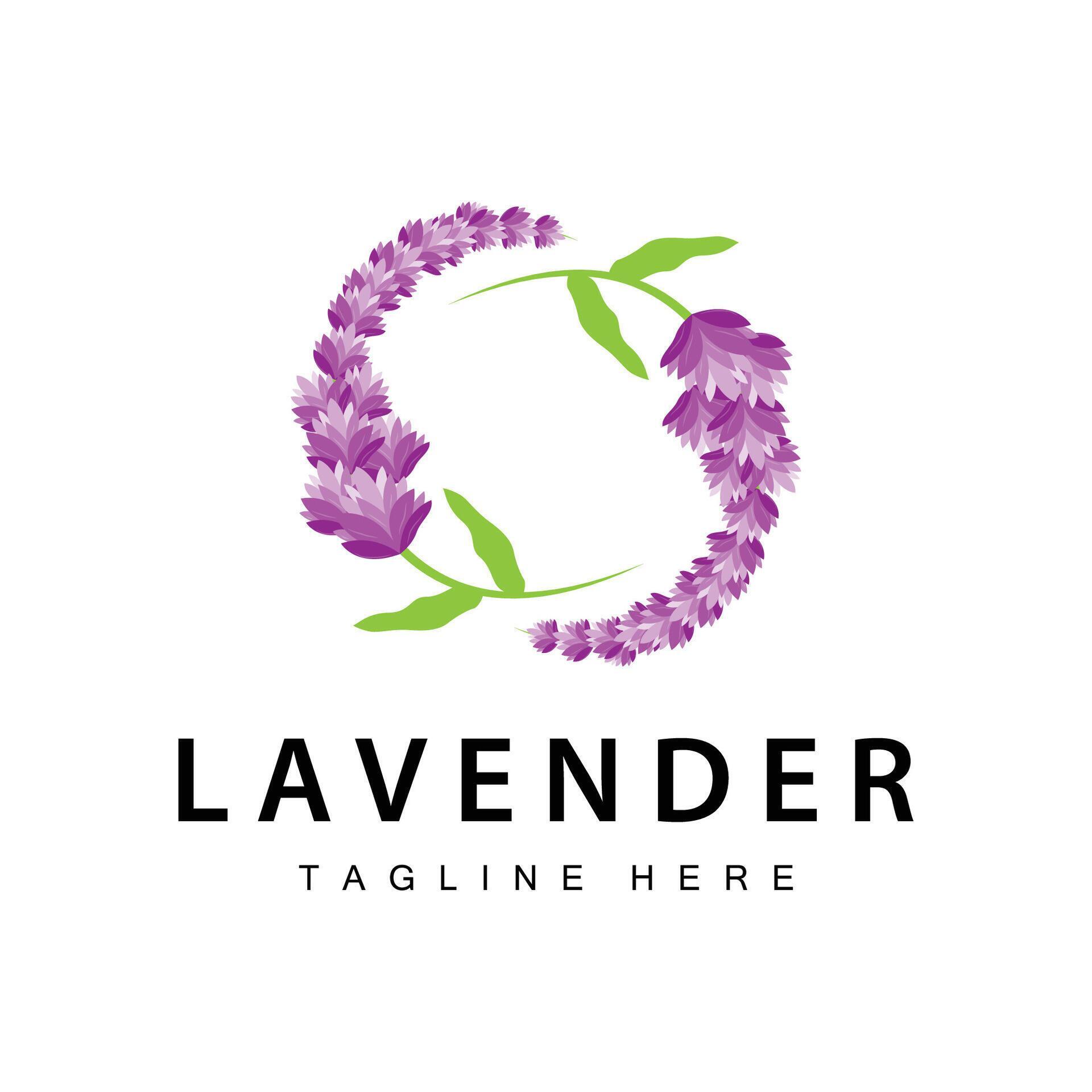 Lavender logo simple design cosmetic plant purple color and aromatherapy lavender flower garden template Stock Free