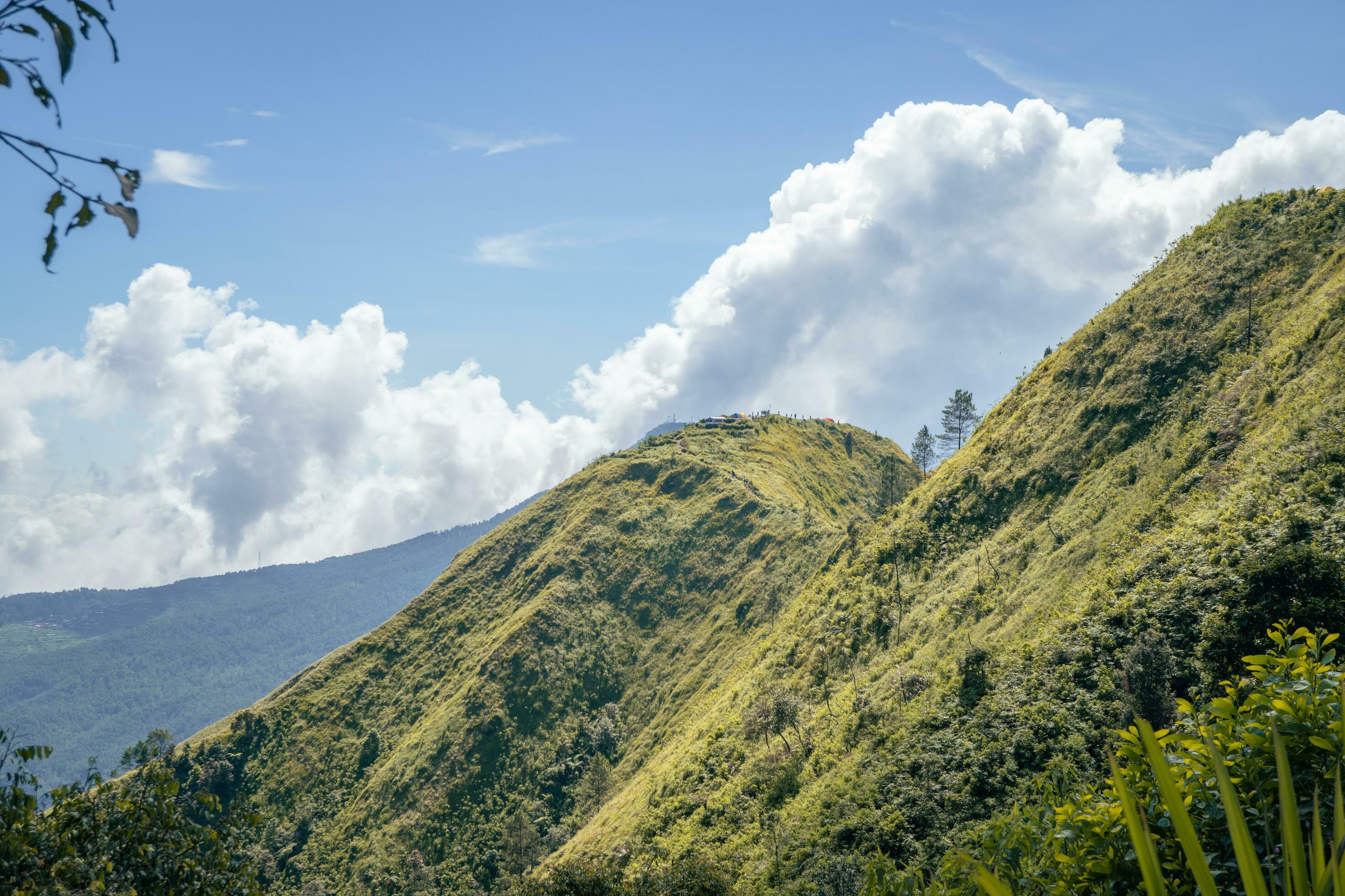 Landscape mountain when morning time sunlight summer vibes. The photo is suitable to use for adventure content media, nature poster and forest background. Stock Free