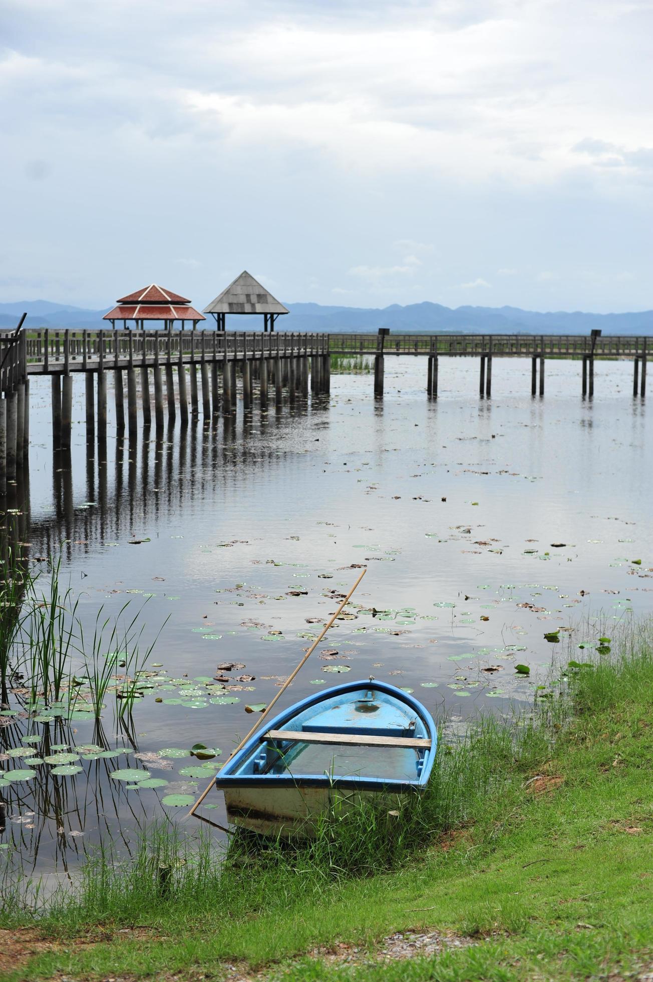 Bridge on the lake, natural background Stock Free