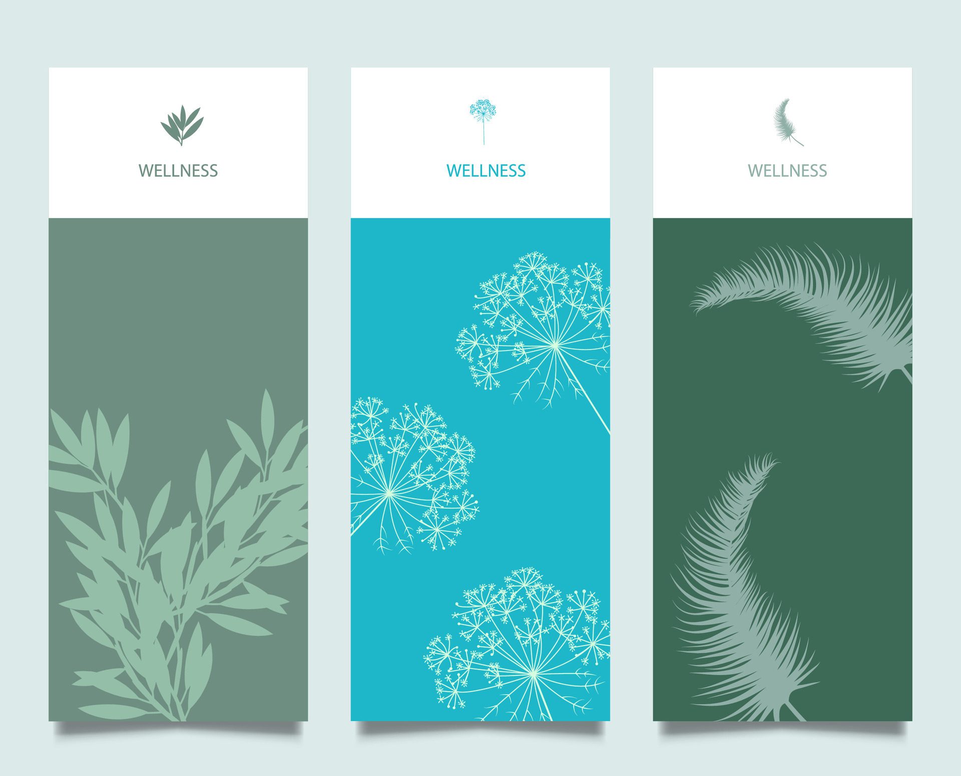 Branding Packaging Flower nature background, logo banner voucher, spring summer tropical, vector illustration – Vector Free Vector