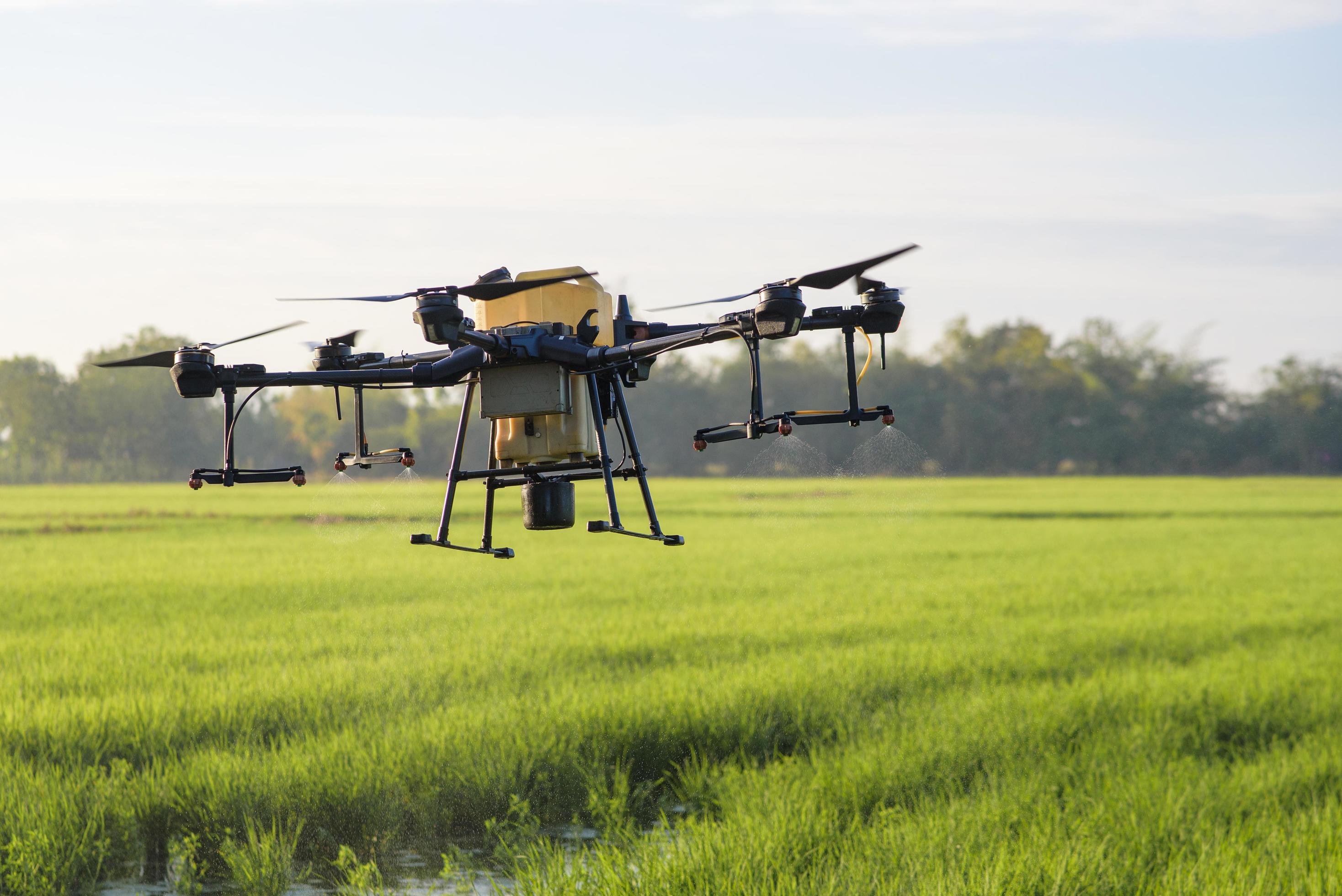 Agriculture drone flying and spraying fertilizer and pesticide over farmland,High technology innovations and smart farming Stock Free