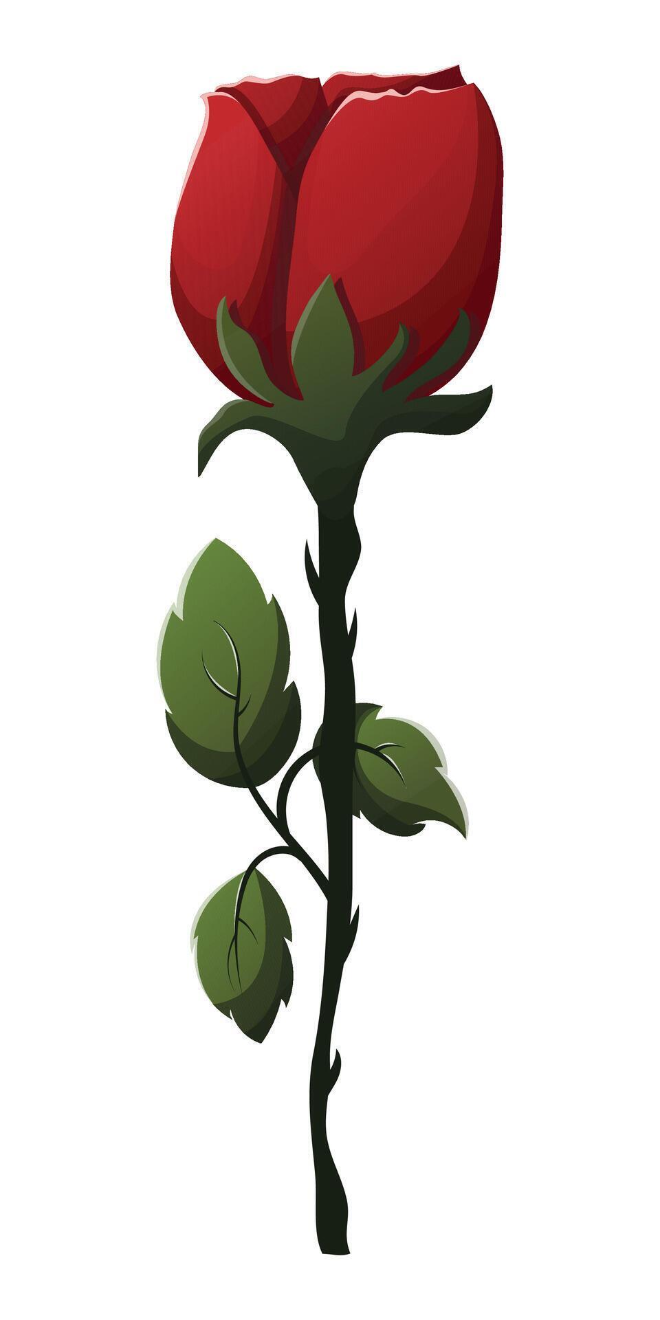 valentine vector rose flower illustration Stock Free