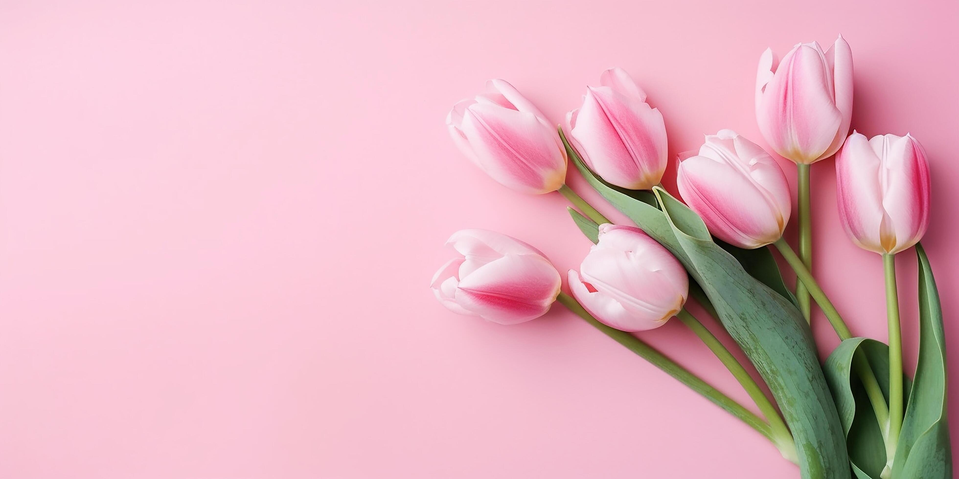 Mother’s day, Valentine’s Day background concept with pink tulip flowers. . Stock Free