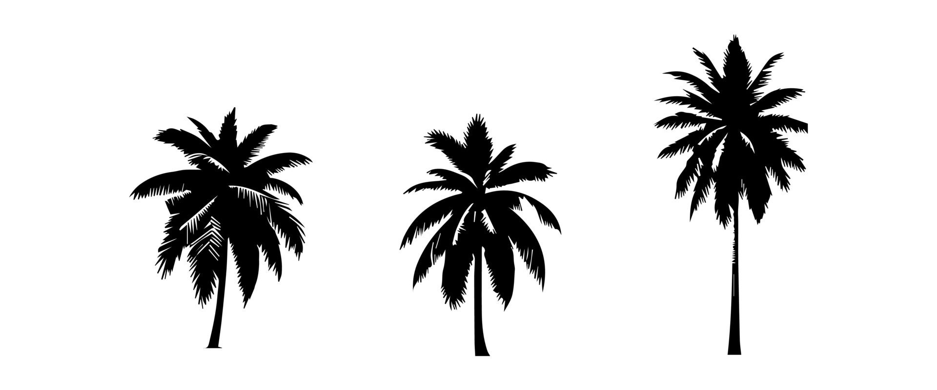 Black palm trees set isolated on white background. Palm silhouettes. Design of palm trees for posters, banners and promotional items. illustration Free Vector