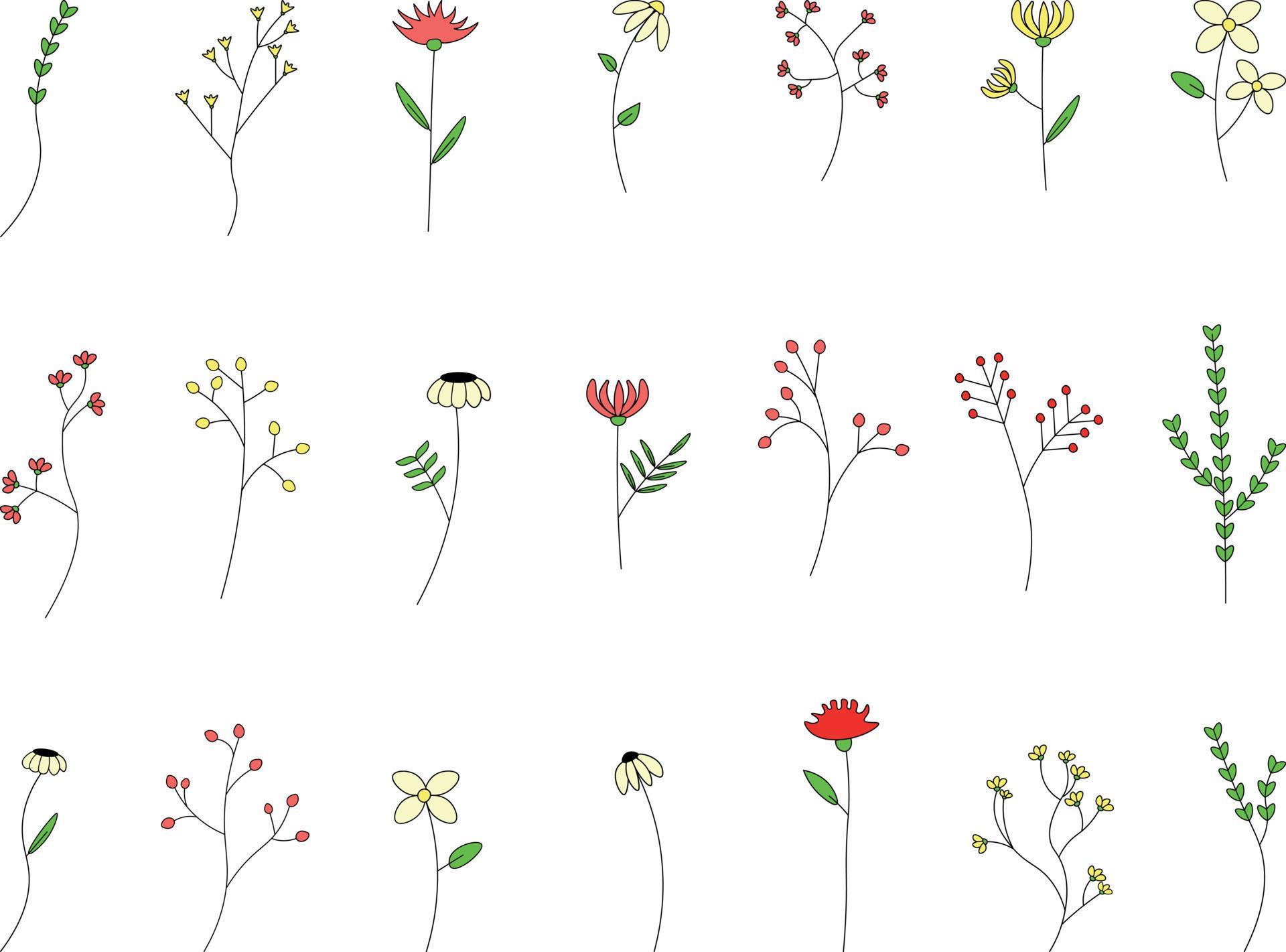 summer flowers Set. Black and white doodle illustration isolated on white background. Set Doodles of plants and flowers Illustration Stock Free