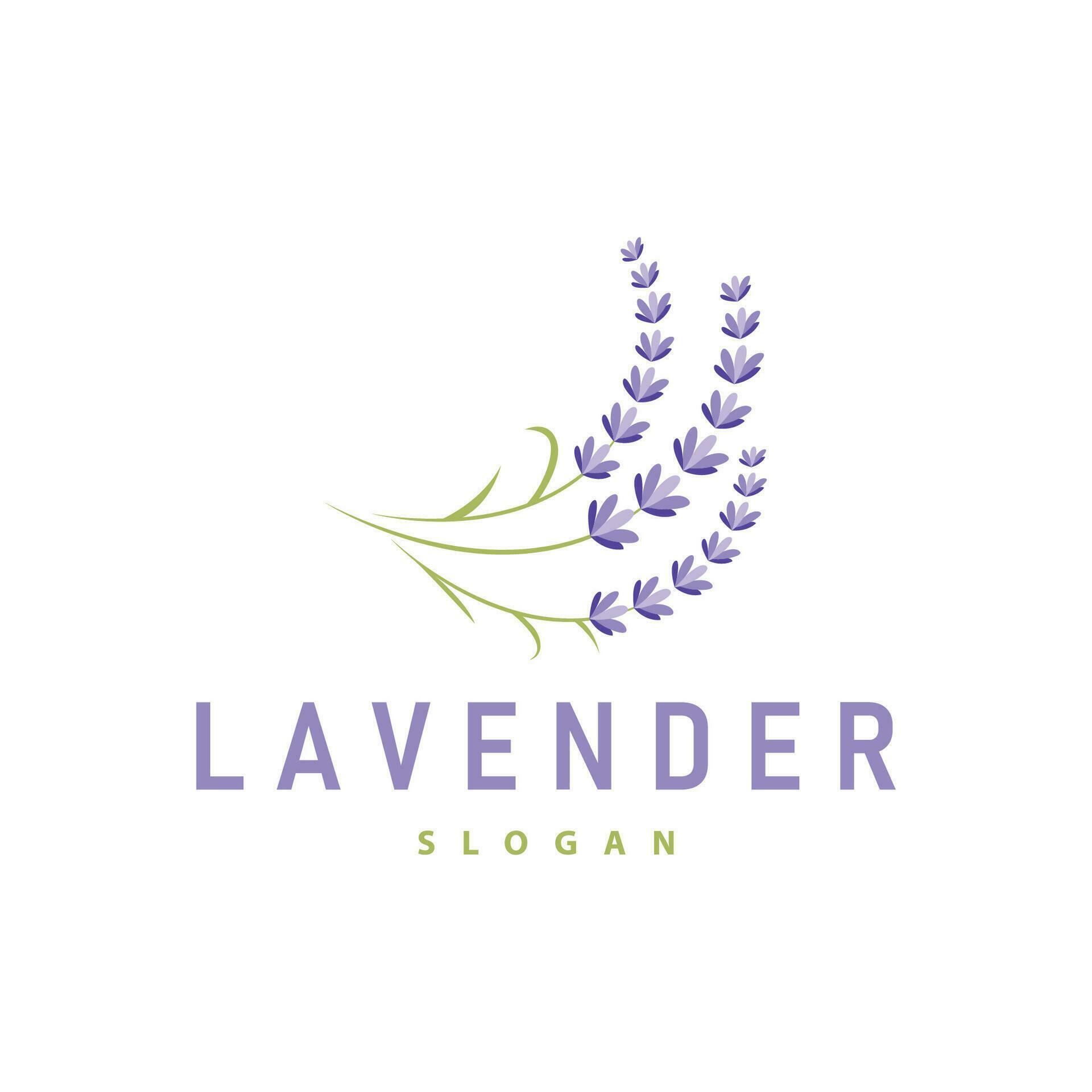 Lavender Logo Elegant Purple Flower Plant Illustration Floral Ornament Design Stock Free