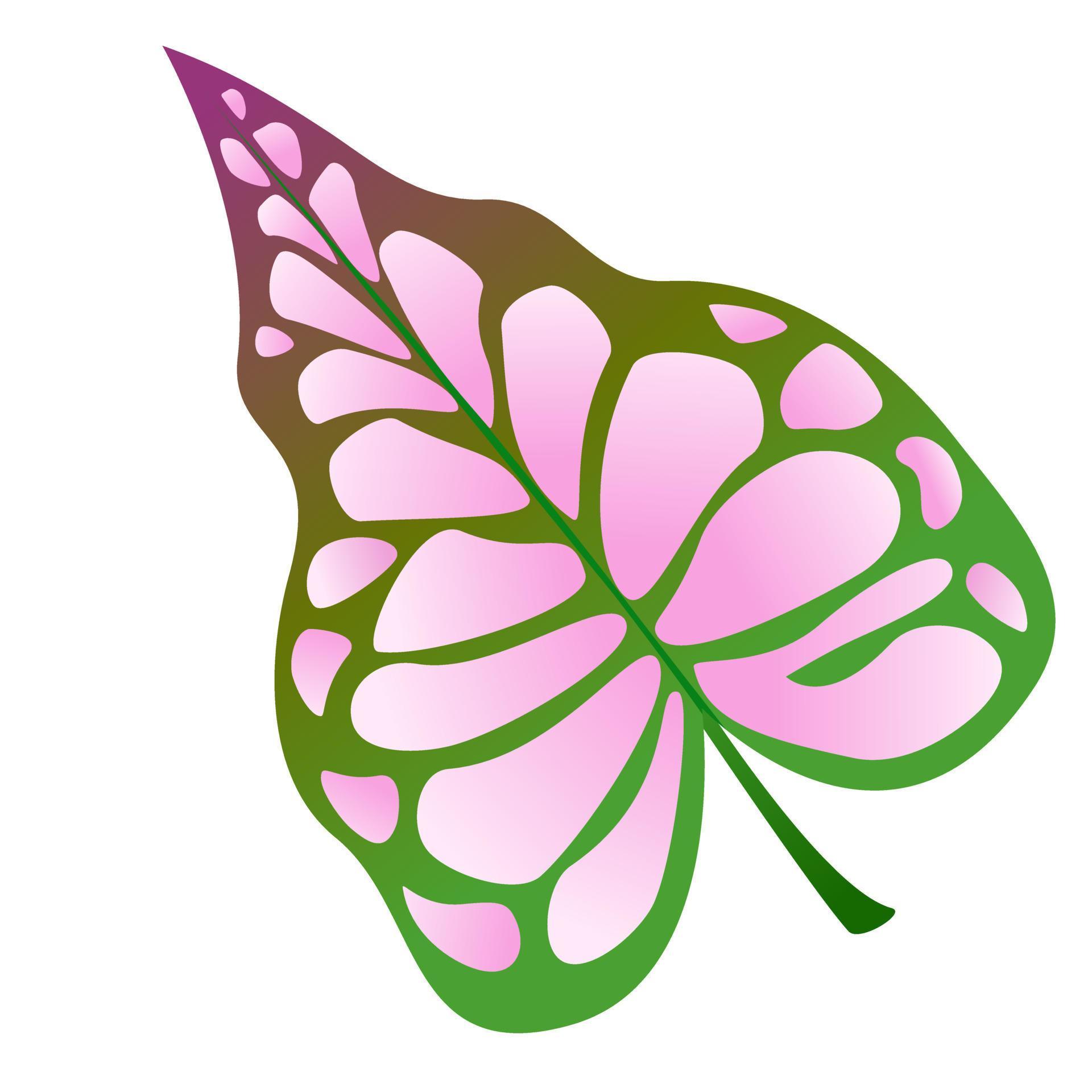 Colorful exotic leaf. Stock Free and Free SVG