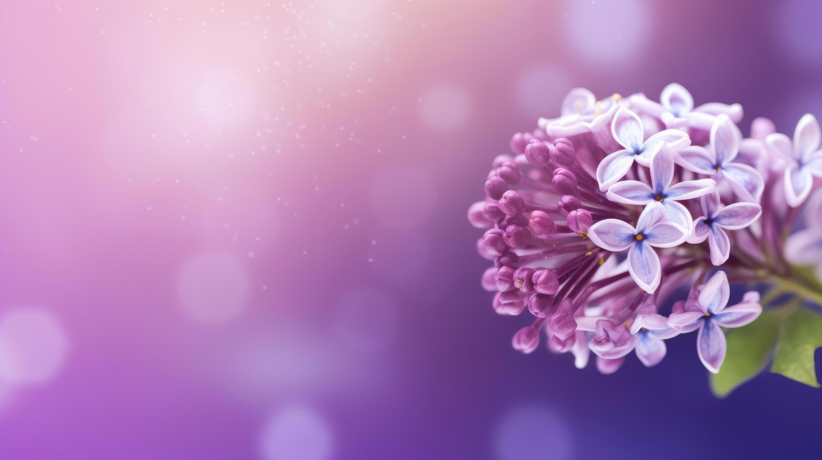 Lilac flower bokeh background. Illustration Stock Free