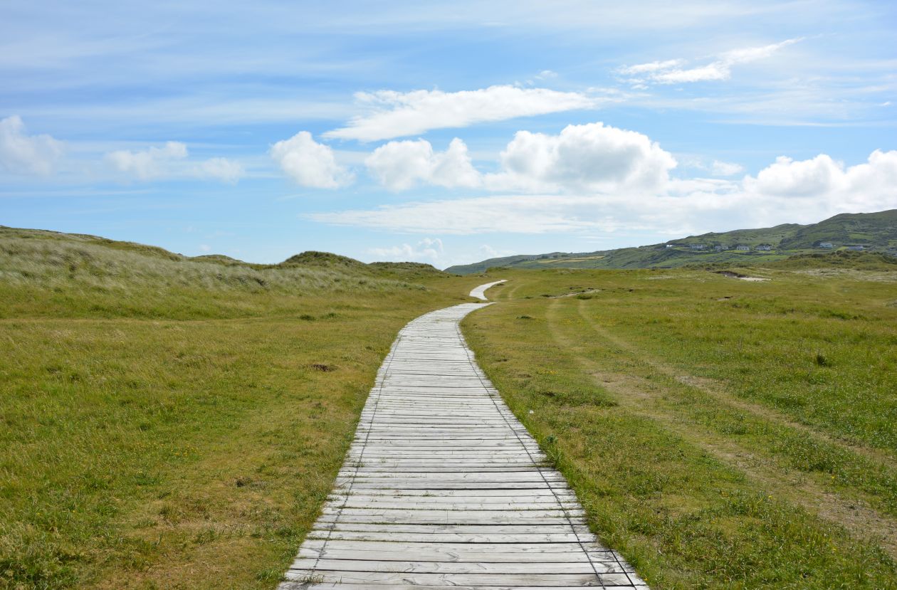 Boardwalk Stock Free