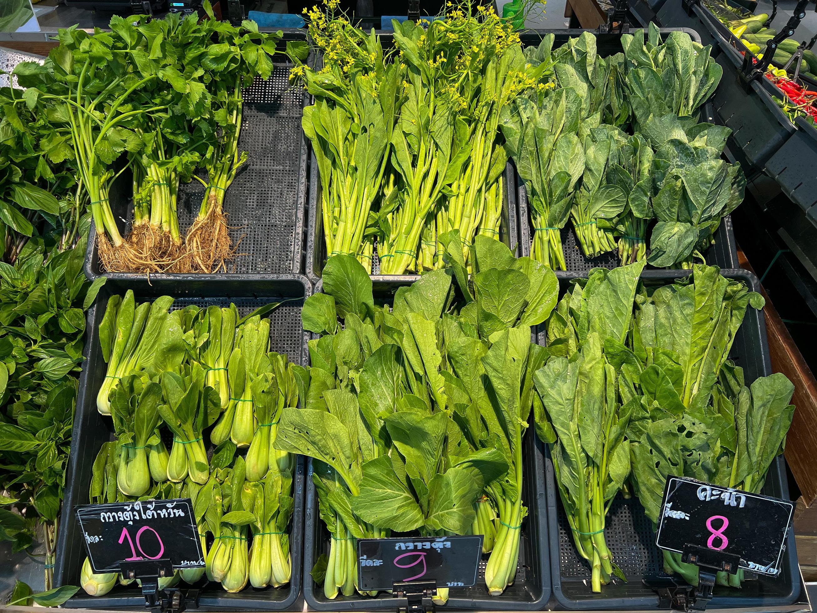 greens for salads on the counter in the store, wheat sprouts, pea sprouts, mint and basil, food for customers Stock Free