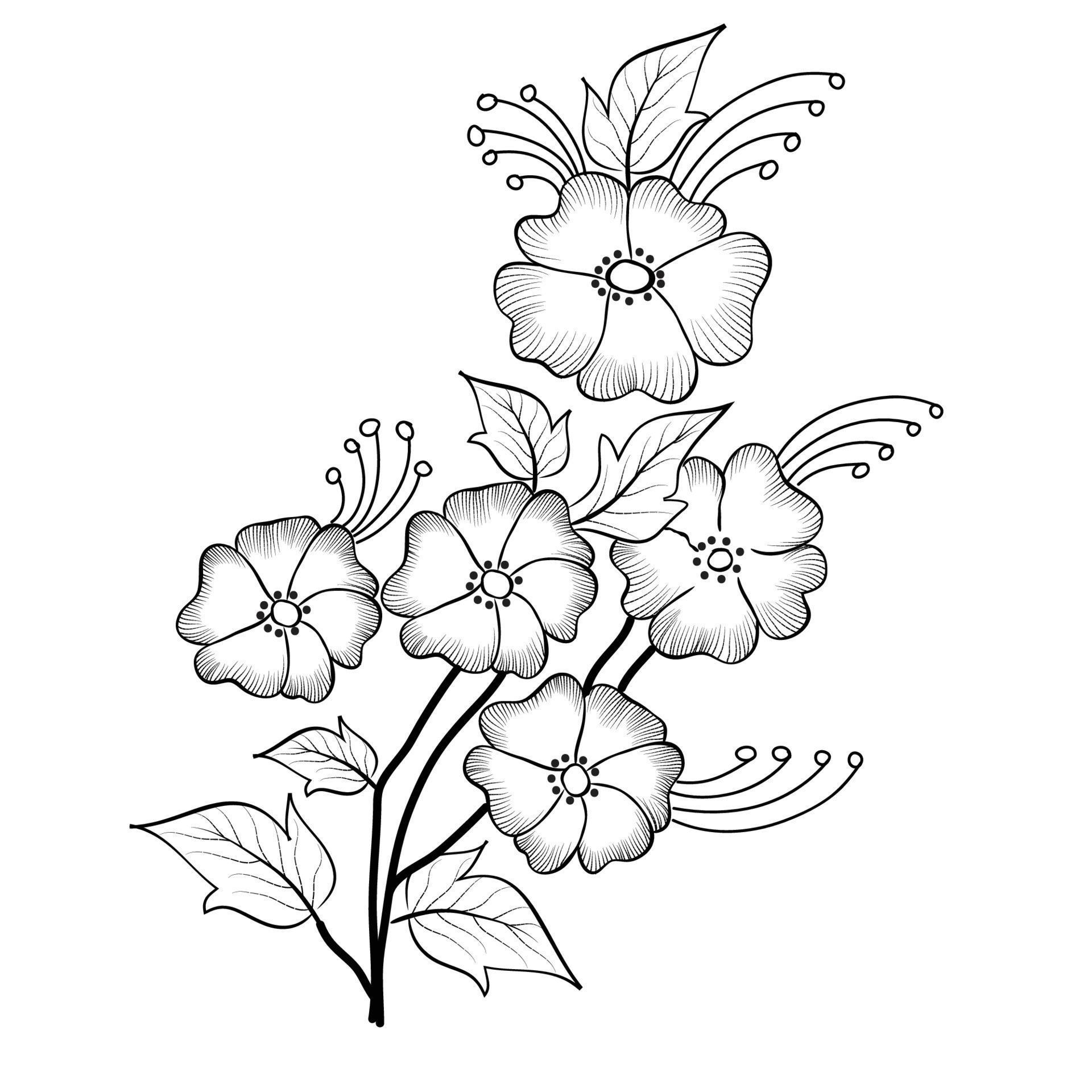 Stock Free line art and hand drawing flower art black and white flat design simple flower Stock Free