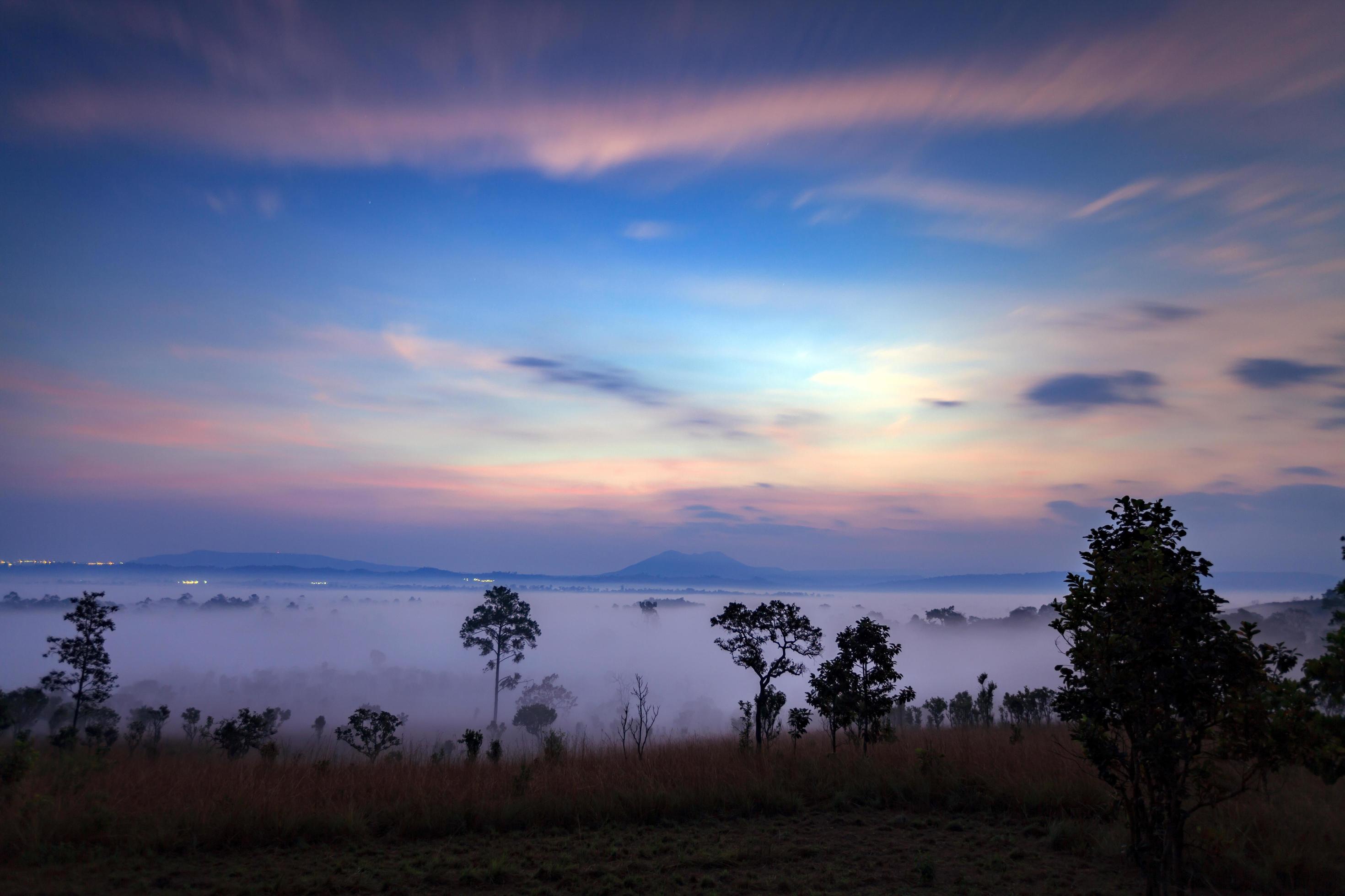 Landscape fog in morning sunrise at Thung Salang Luang National Park Phetchabun,Tung slang luang is Grassland savannah in Thailand Stock Free