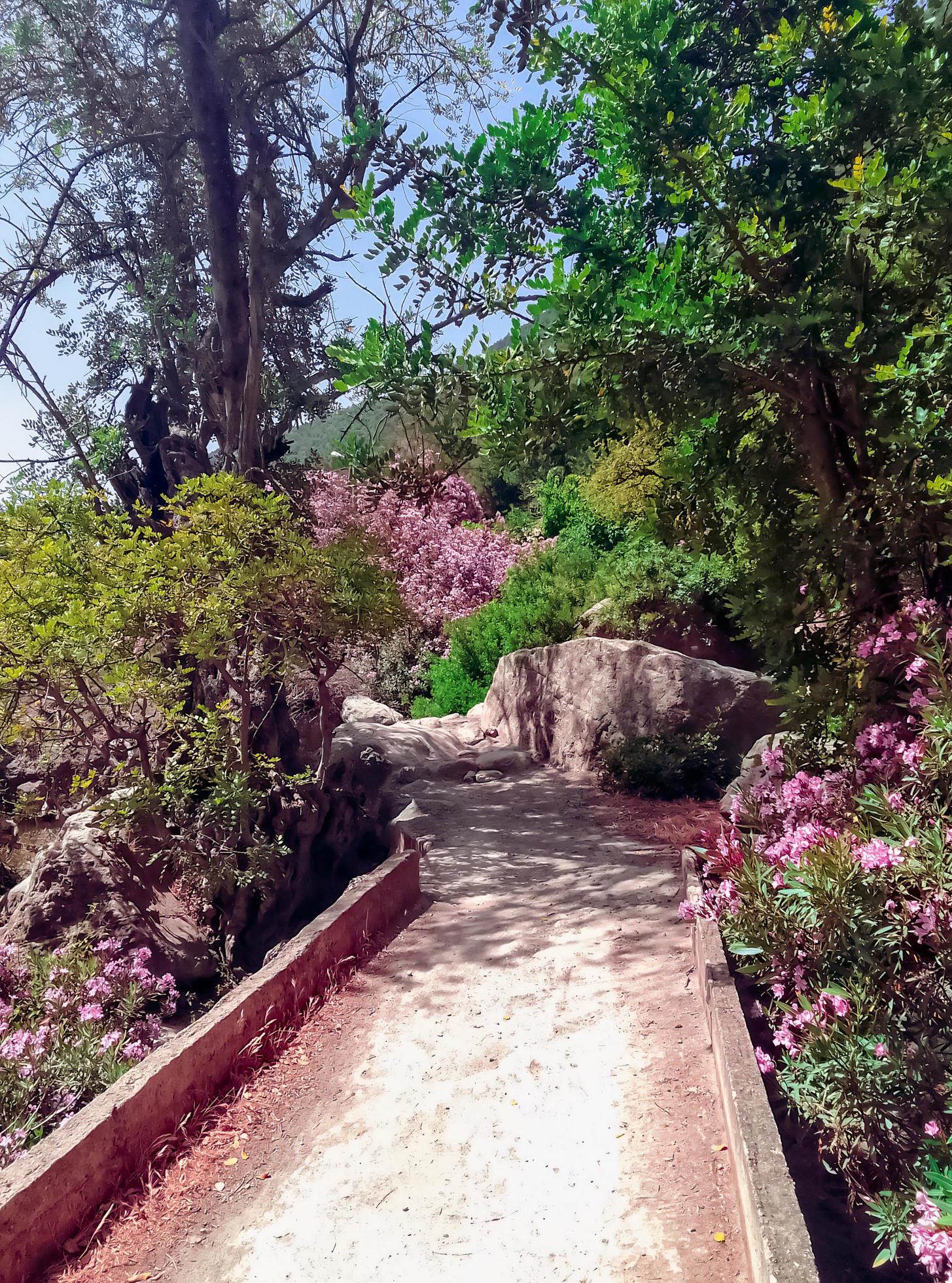 Explore the beauty of a small bridge over a valley of flowers in the heart of nature tranquil and picturesque landscapes Stock Free