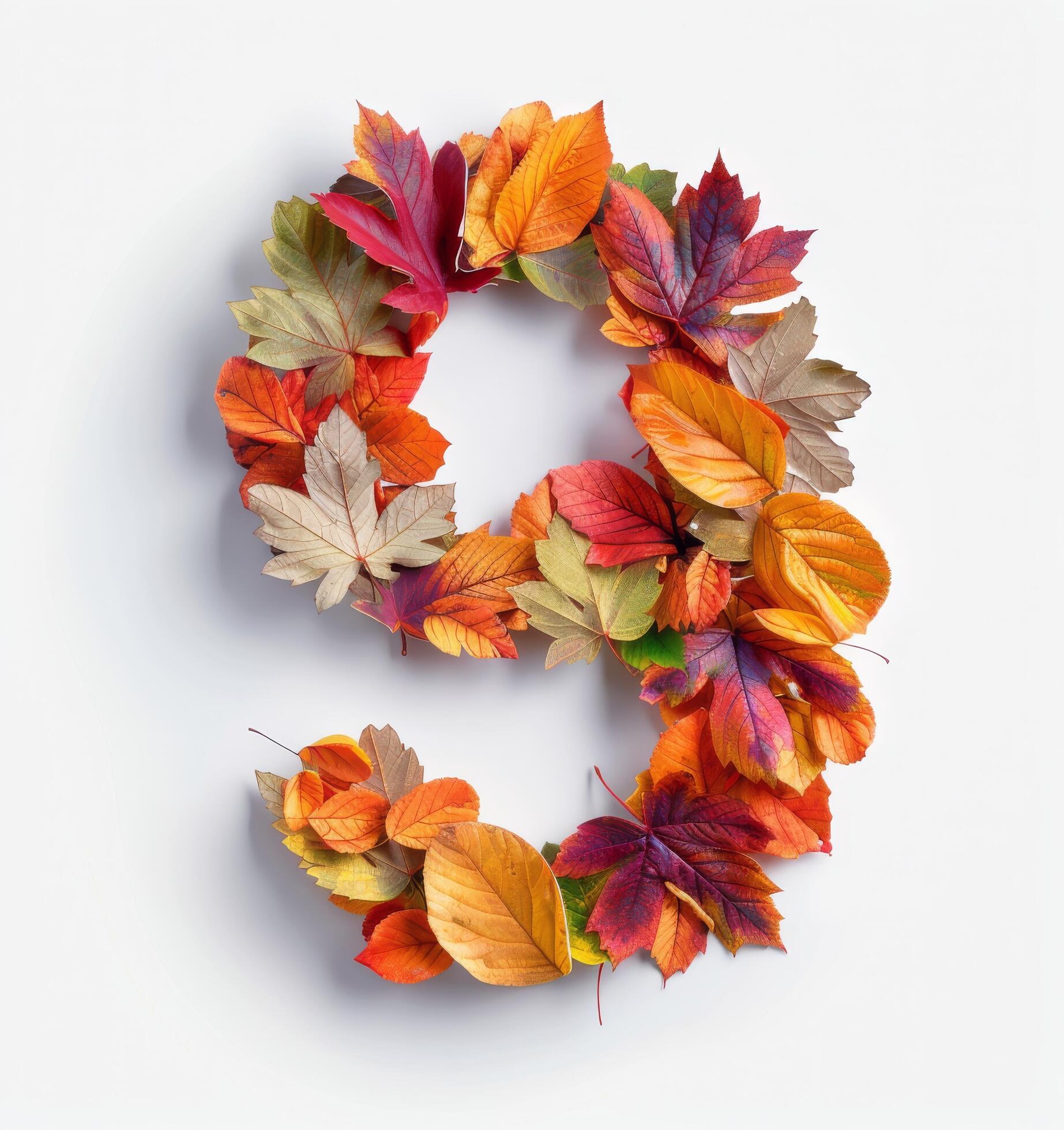 Autumn Leaves Arranged in a Number Nine on White Background Stock Free