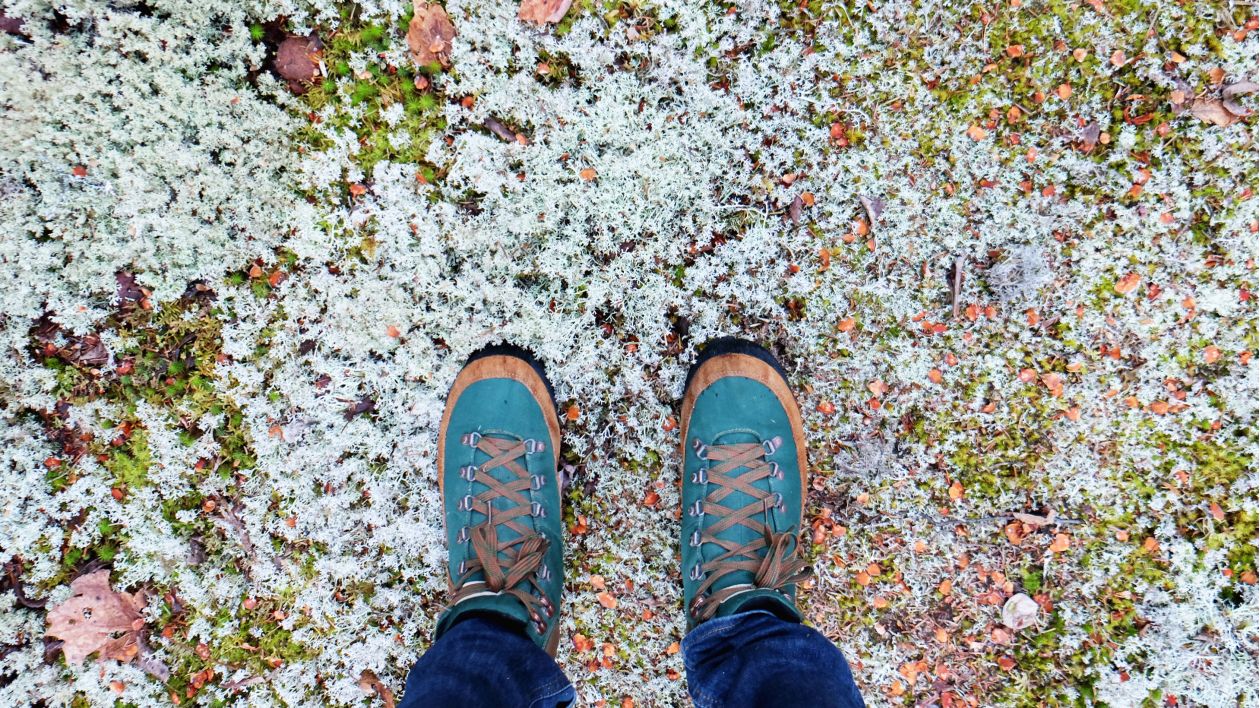 Feet Portrait Stock Free