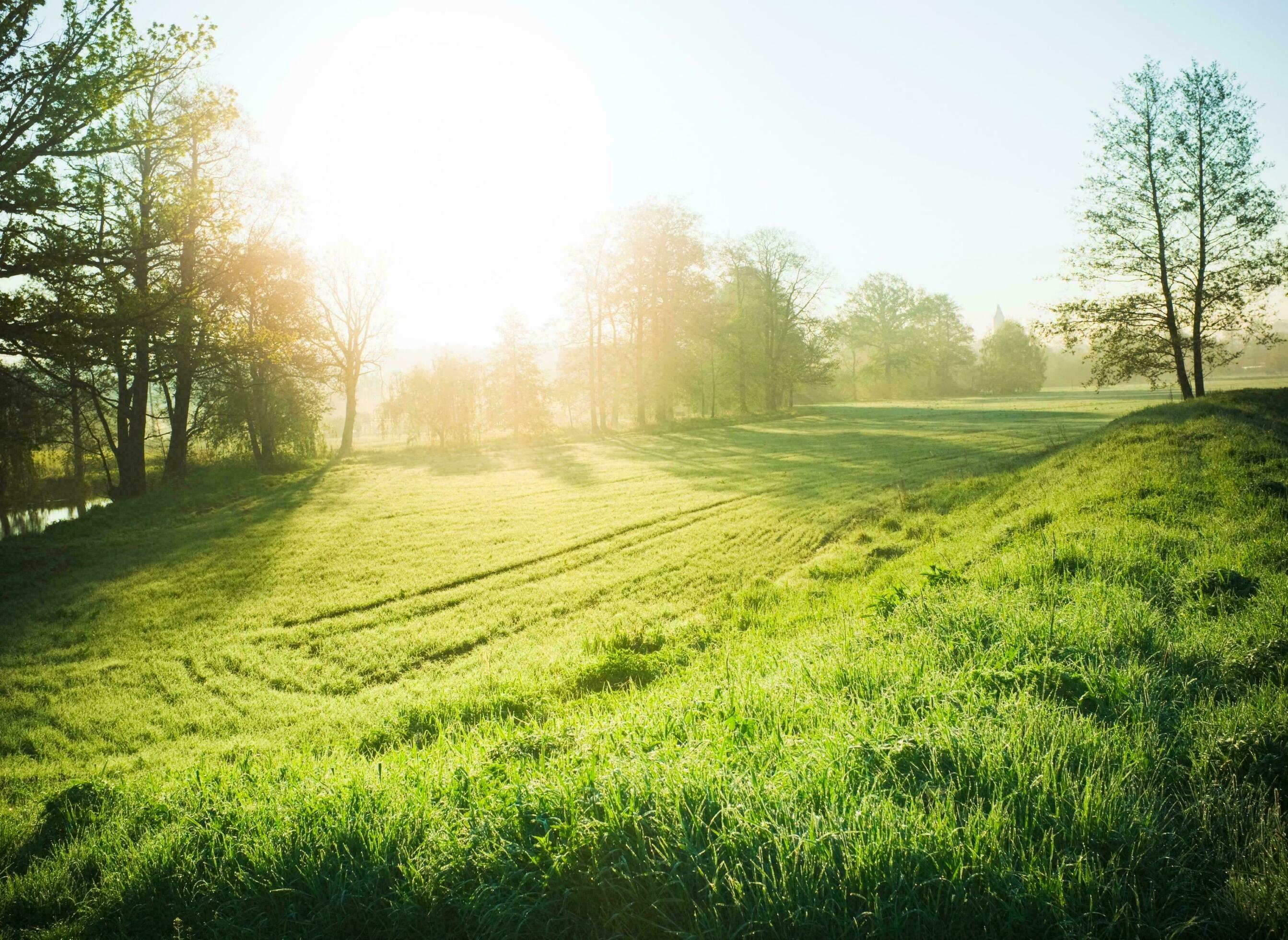 Nature green landscape sky background photo Stock Free